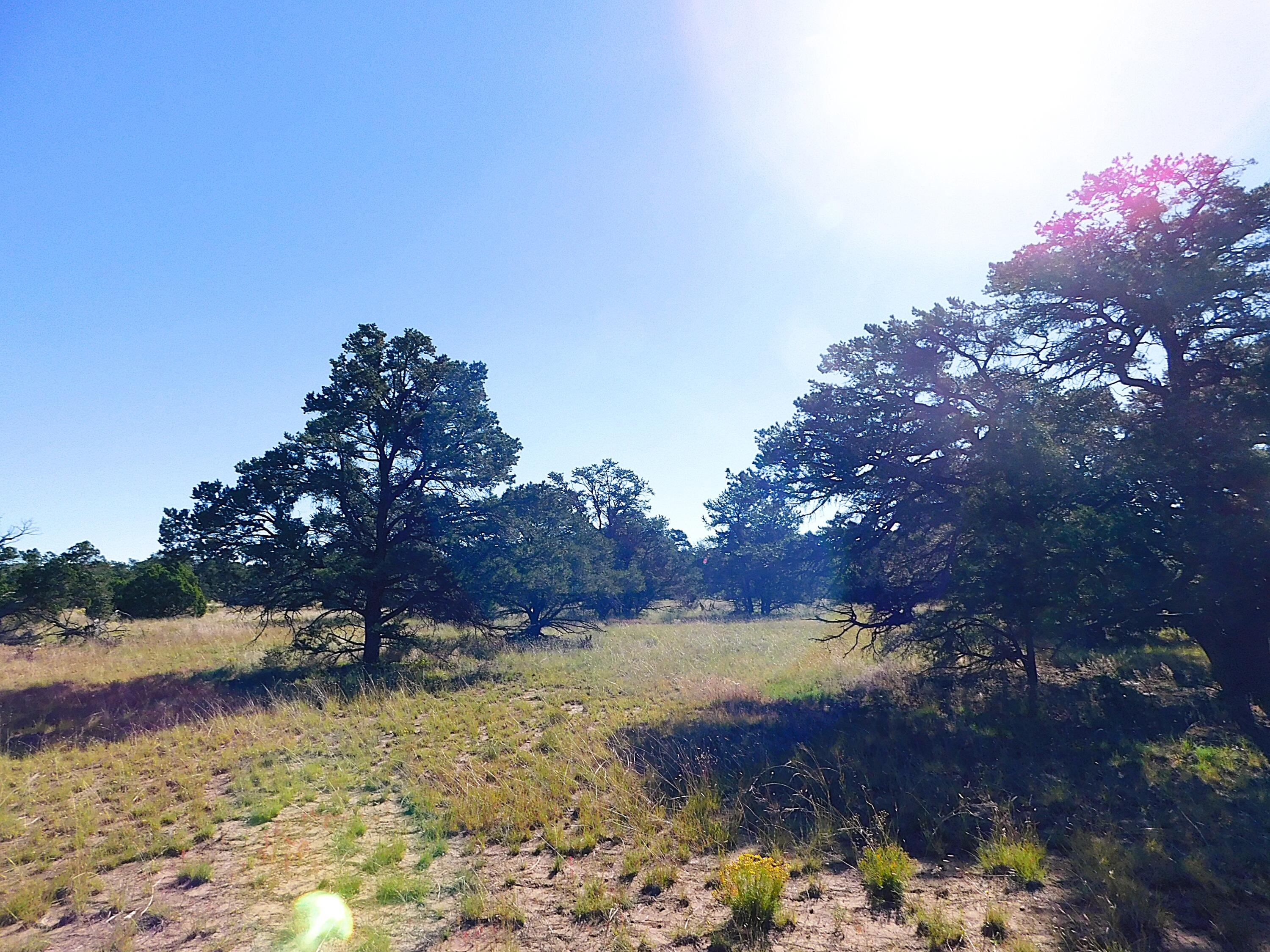 Photo 4 — 43 Brook Boulevard
