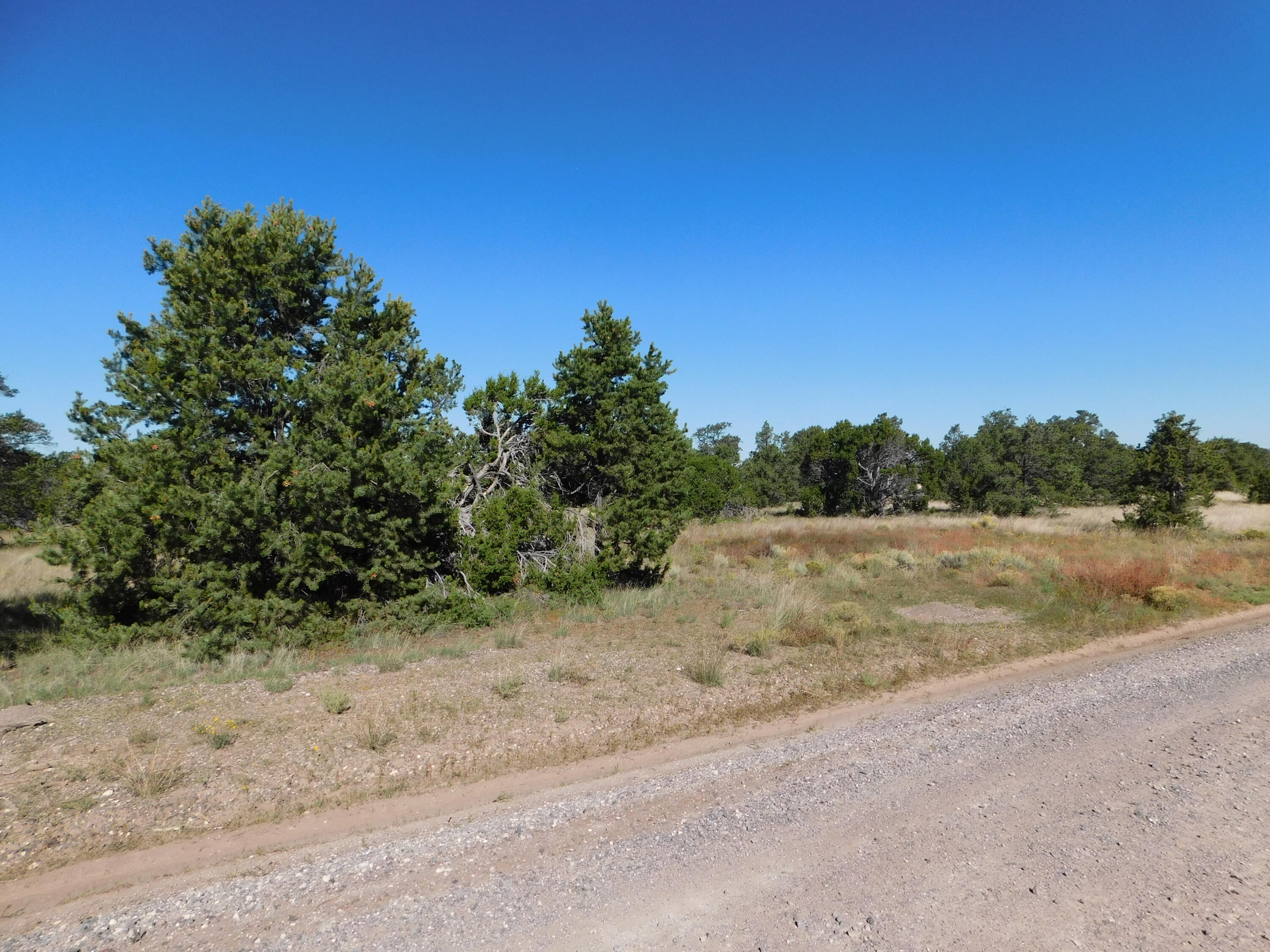 Photo 12 — 43 Brook Boulevard