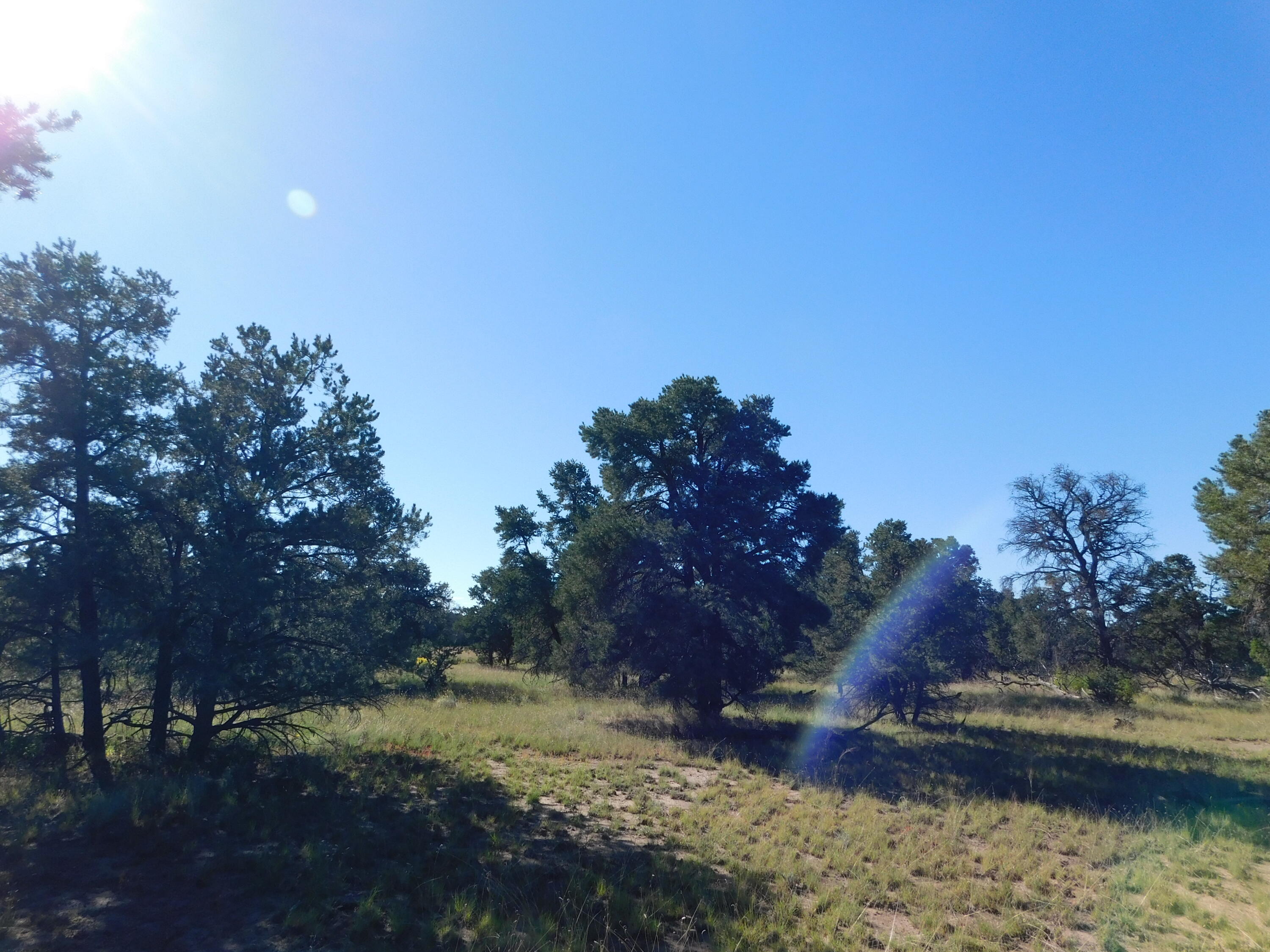 Photo 10 — 43 Brook Boulevard