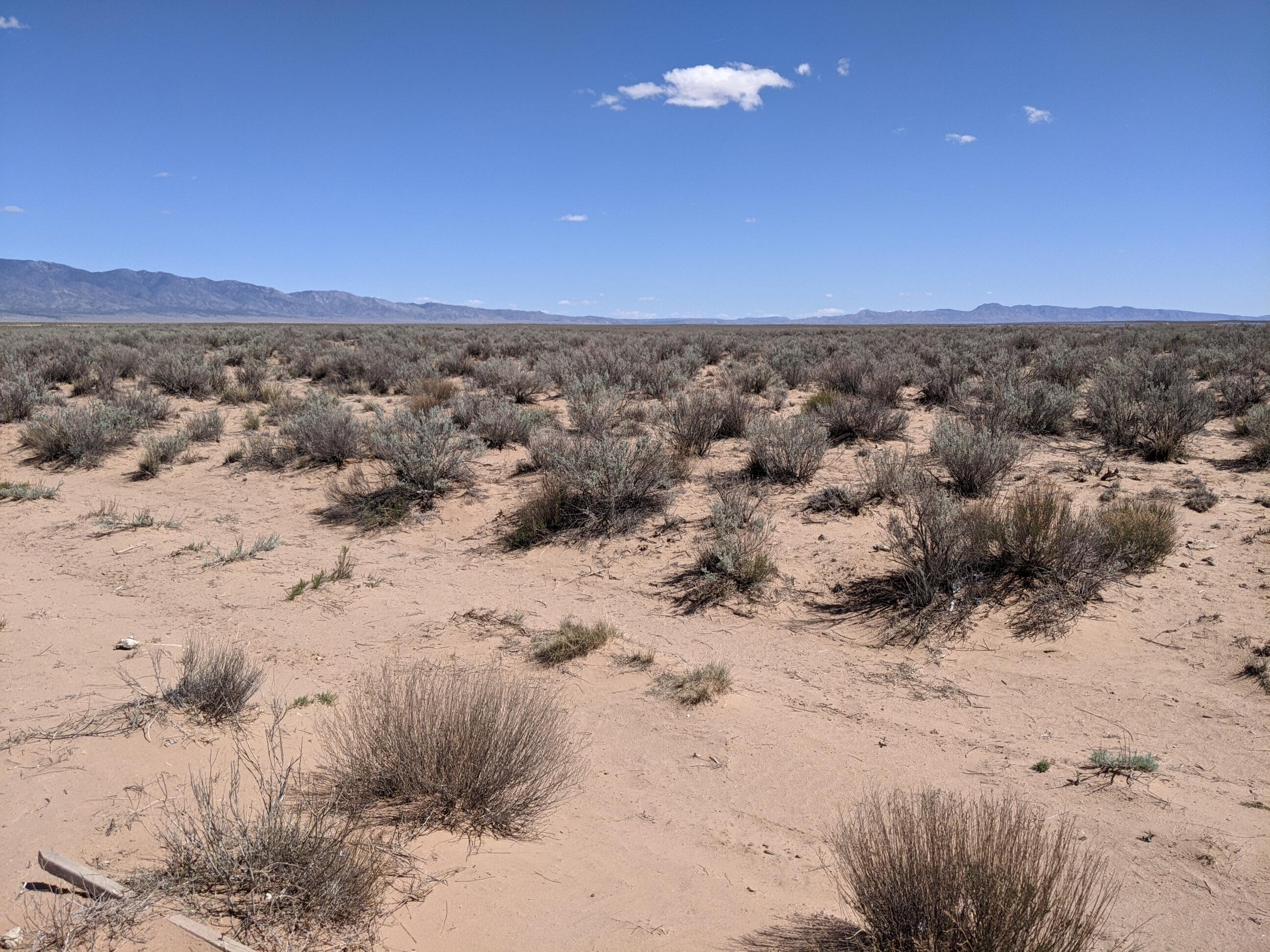 Photo 3 —  Rio Grande Estates Lot 23 & 24