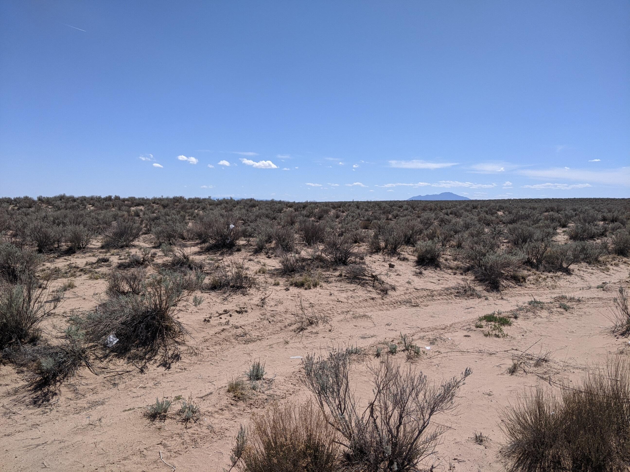 Photo 2 —  Rio Grande Estates Lot 23 & 24