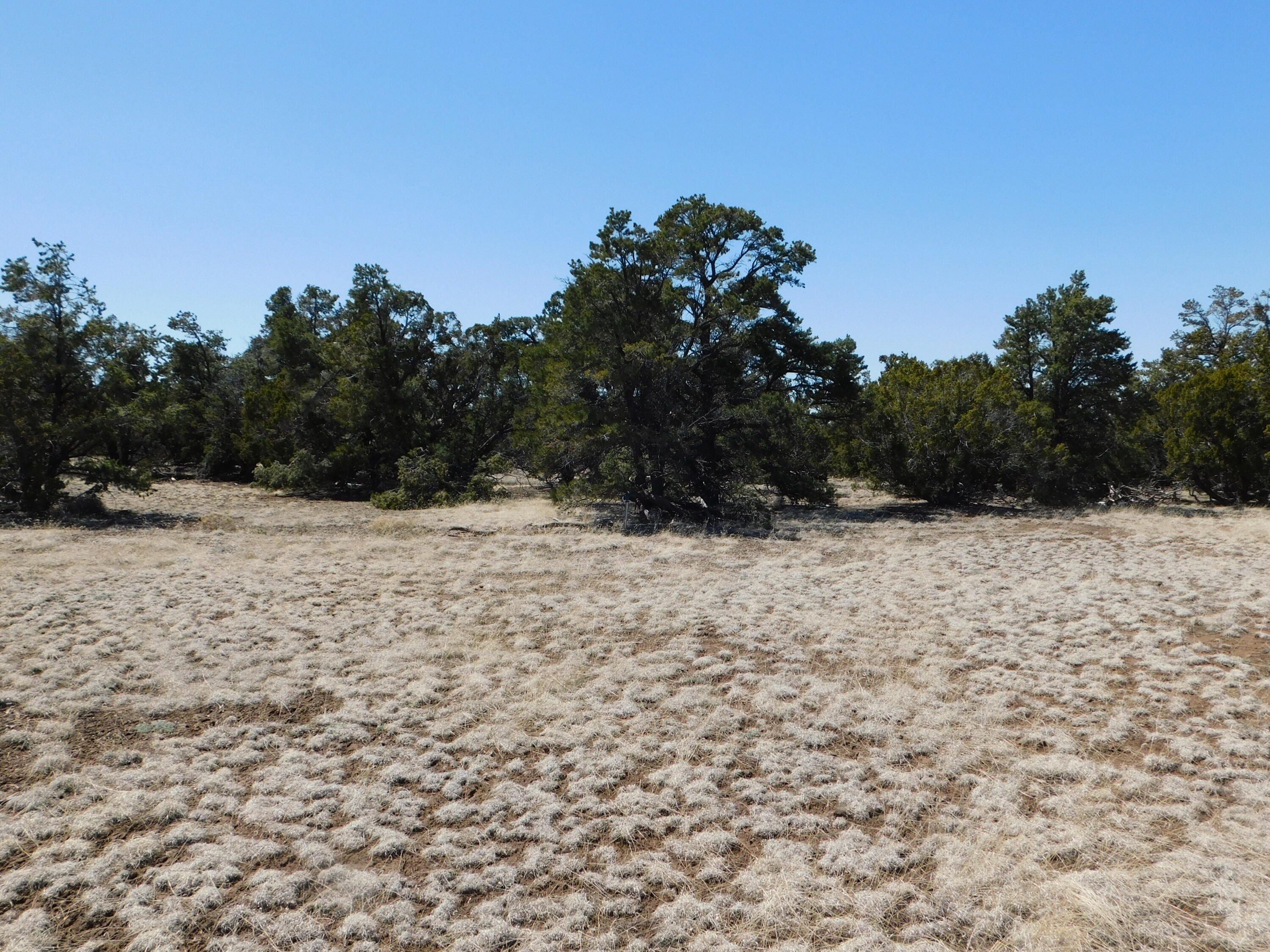 Photo 14 — Lot 26 Spring Canyon Cir