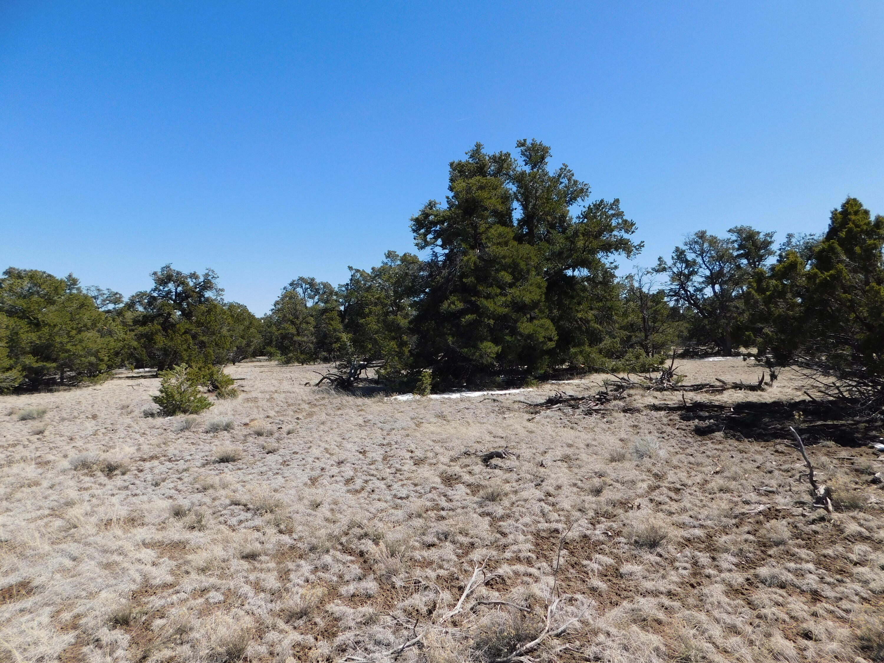 Photo 13 — Lot 26 Spring Canyon Cir