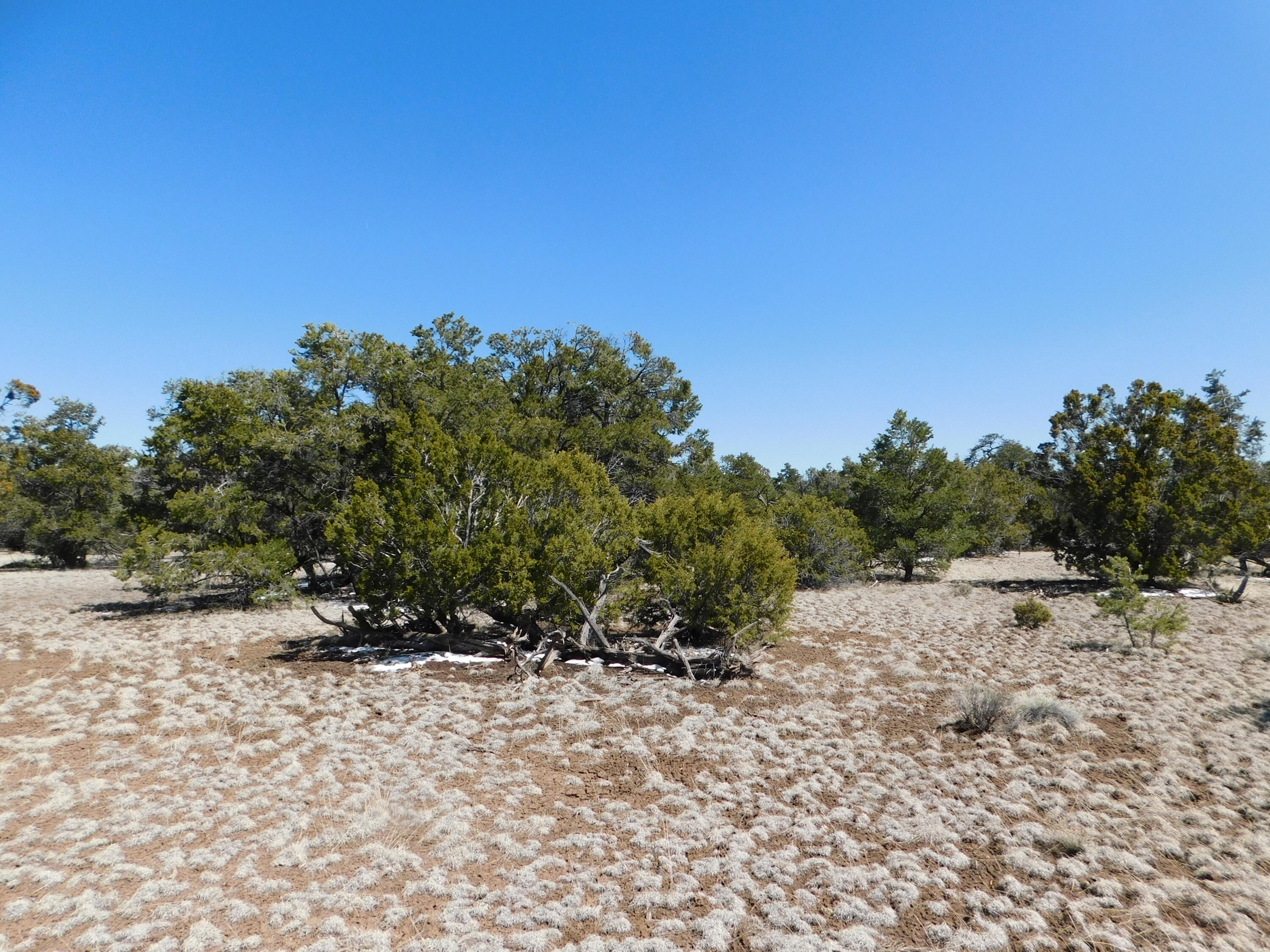 Photo 12 — Lot 26 Spring Canyon Cir