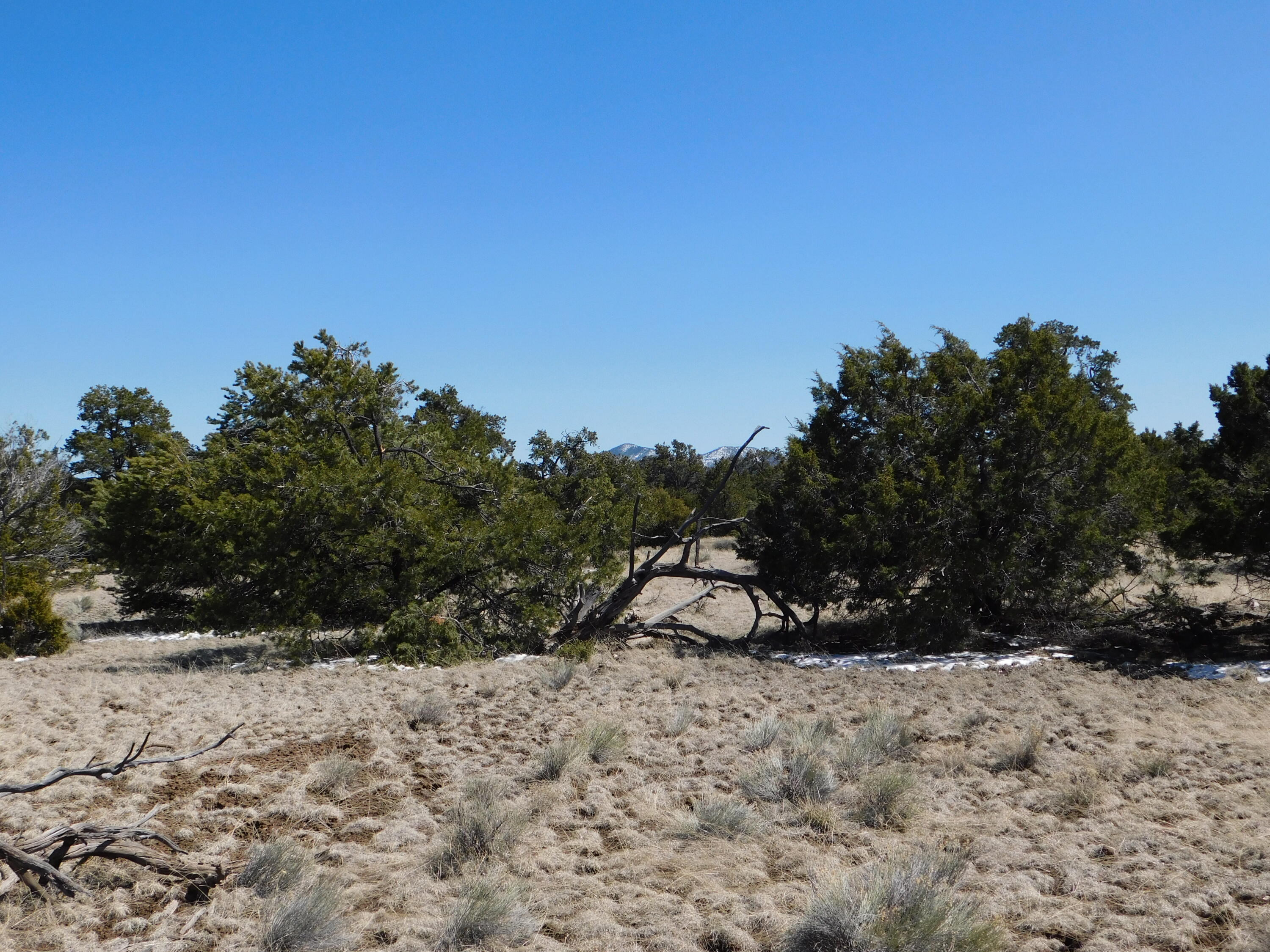 Photo 11 — Lot 26 Spring Canyon Cir