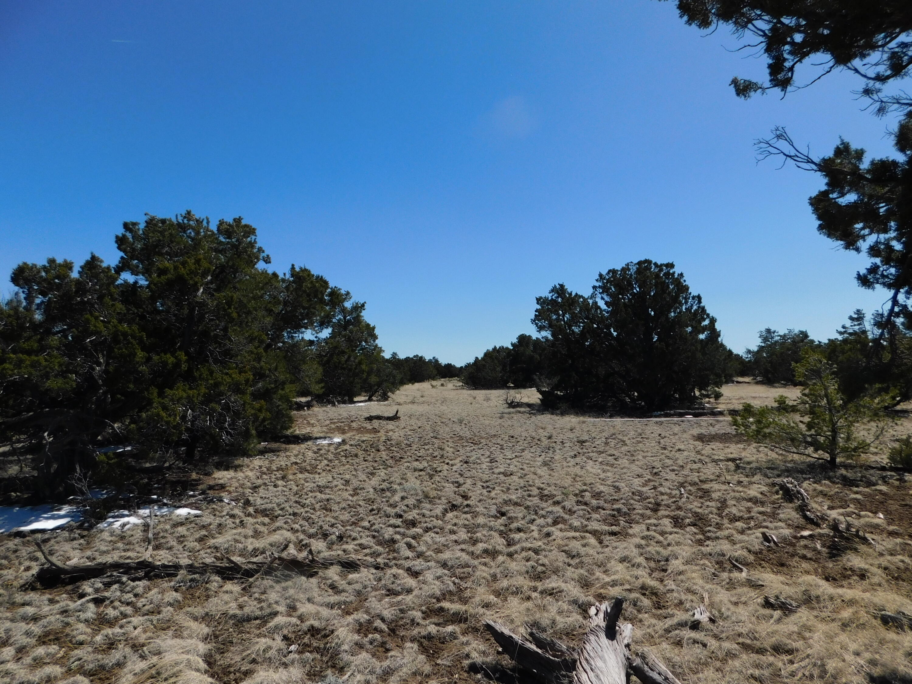 Photo 10 — Lot 26 Spring Canyon Cir