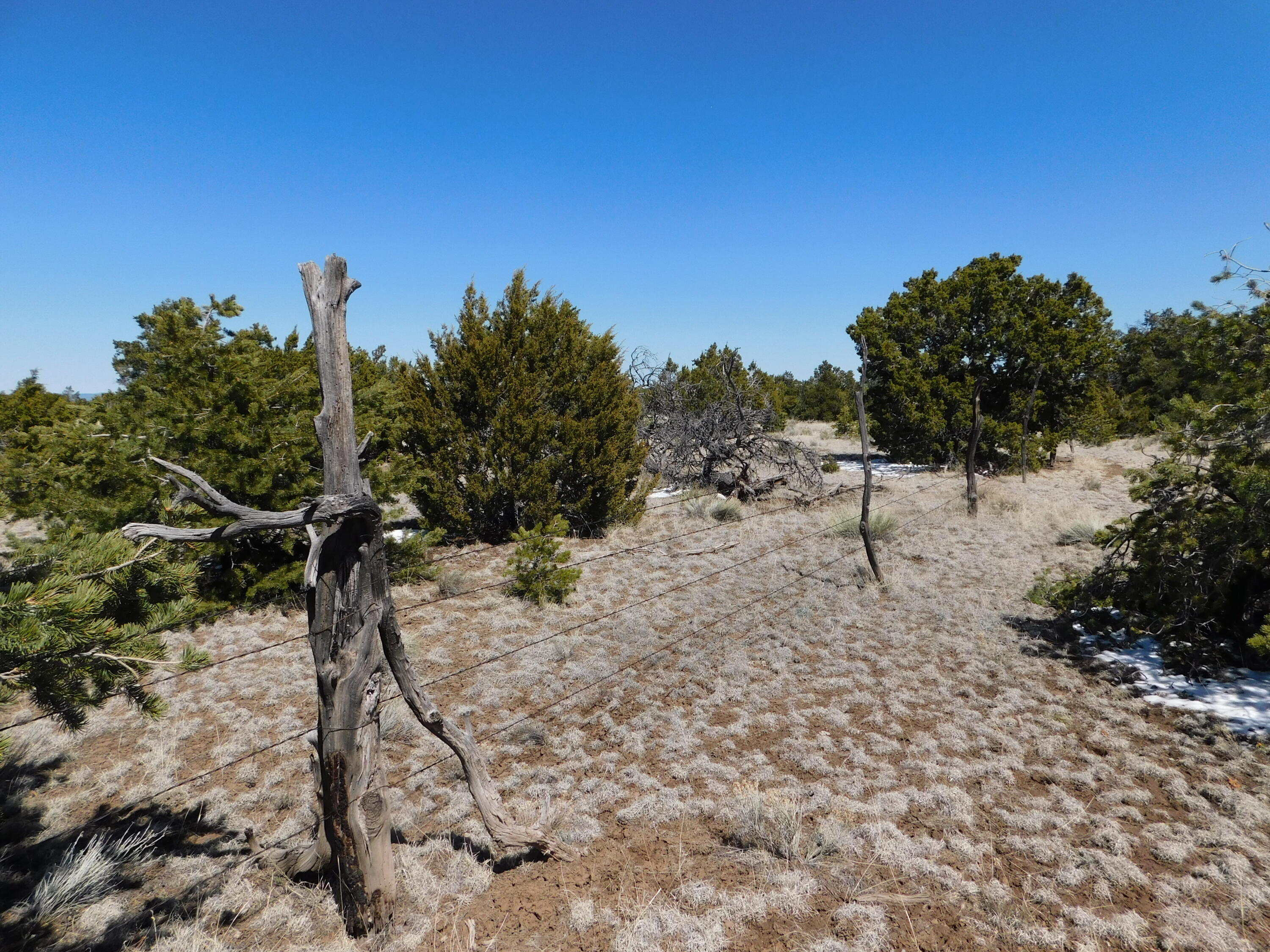 Photo 8 — Lot 26 Spring Canyon Cir