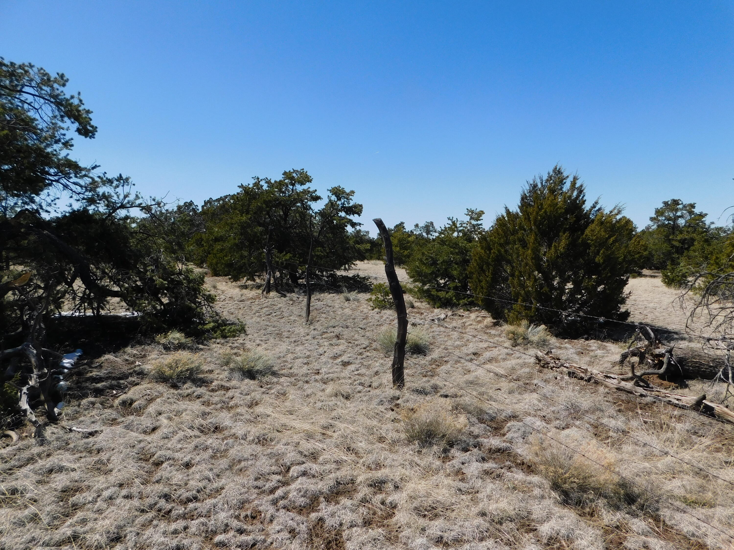Photo 7 — Lot 26 Spring Canyon Cir