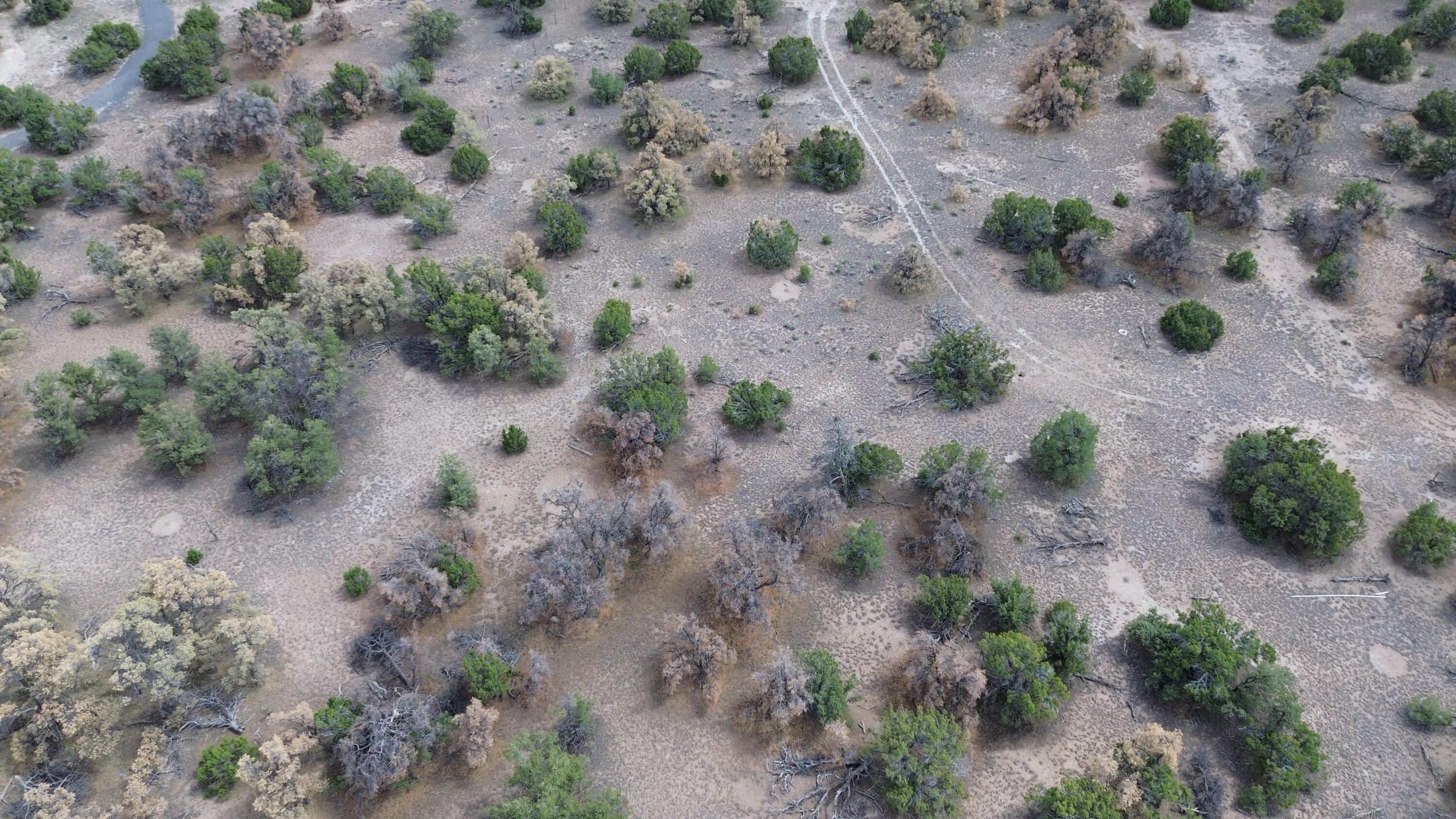 Photo 2 — Lot 26 Spring Canyon Cir