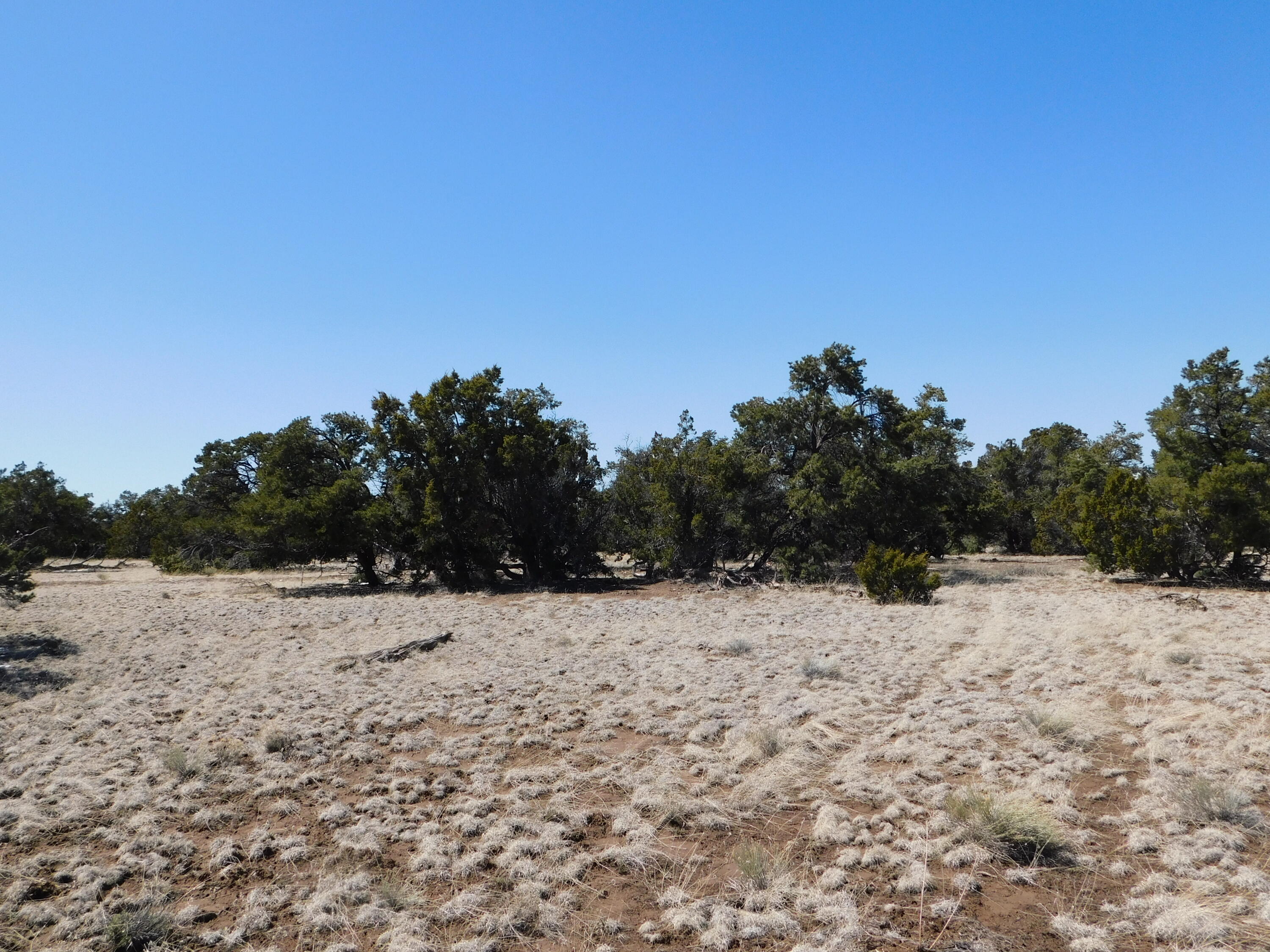 Photo 17 — Lot 26 Spring Canyon Cir