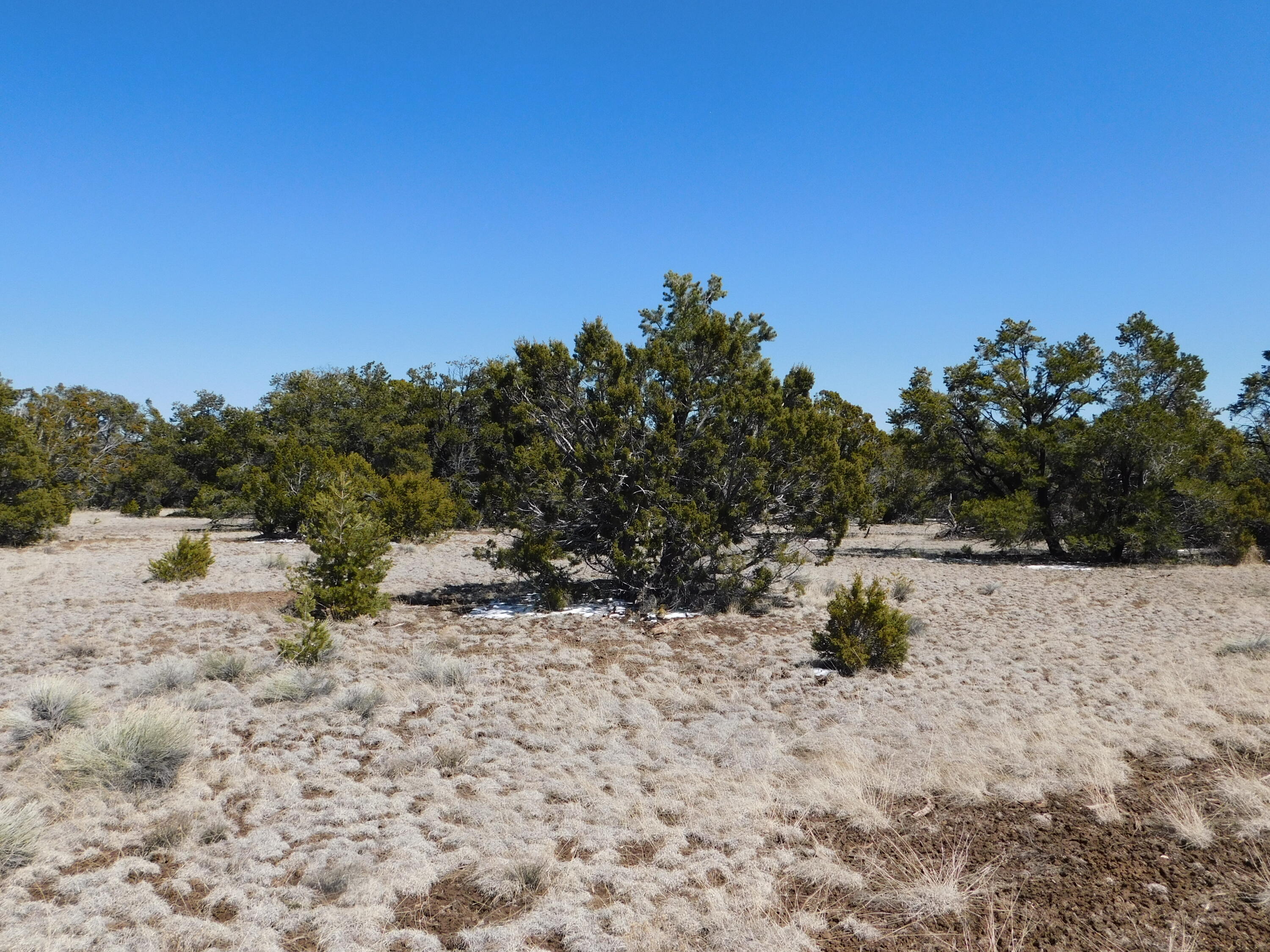 Photo 15 — Lot 26 Spring Canyon Cir