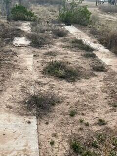 Photo 13 — 46 Lovato Road