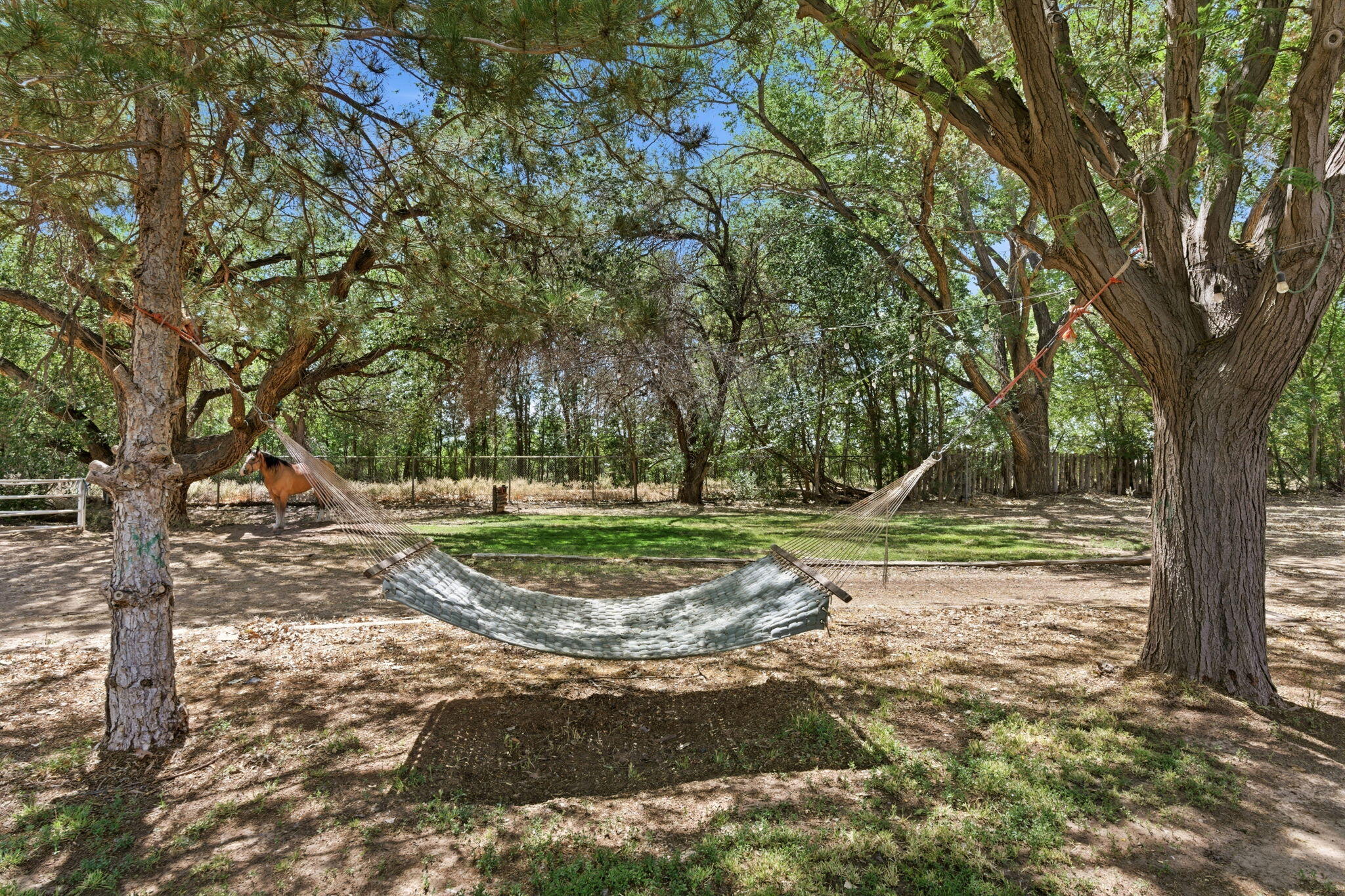 Photo 12 — 170 El Cerro Loop