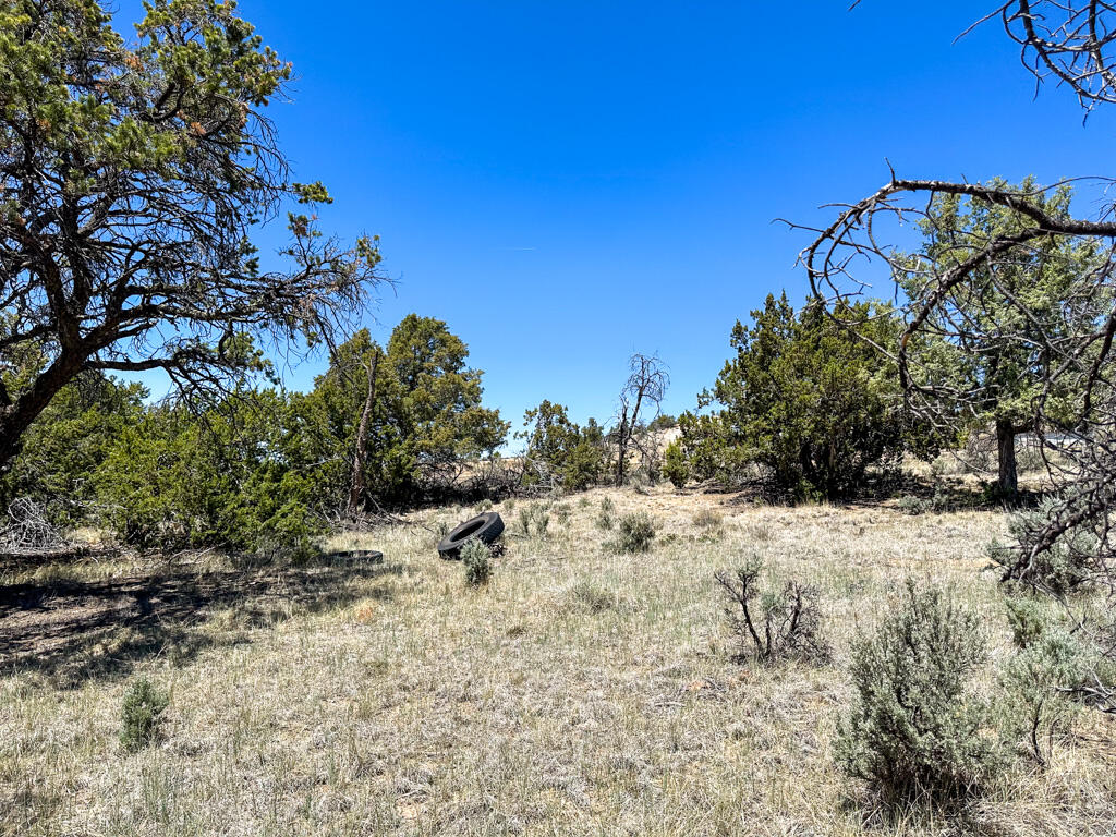 Photo 13 — 15 Jaquez Road