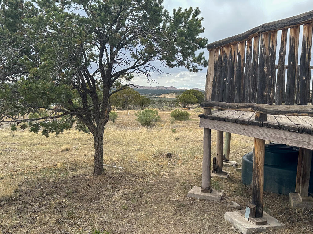 Photo 6 — 15 Jaquez Road