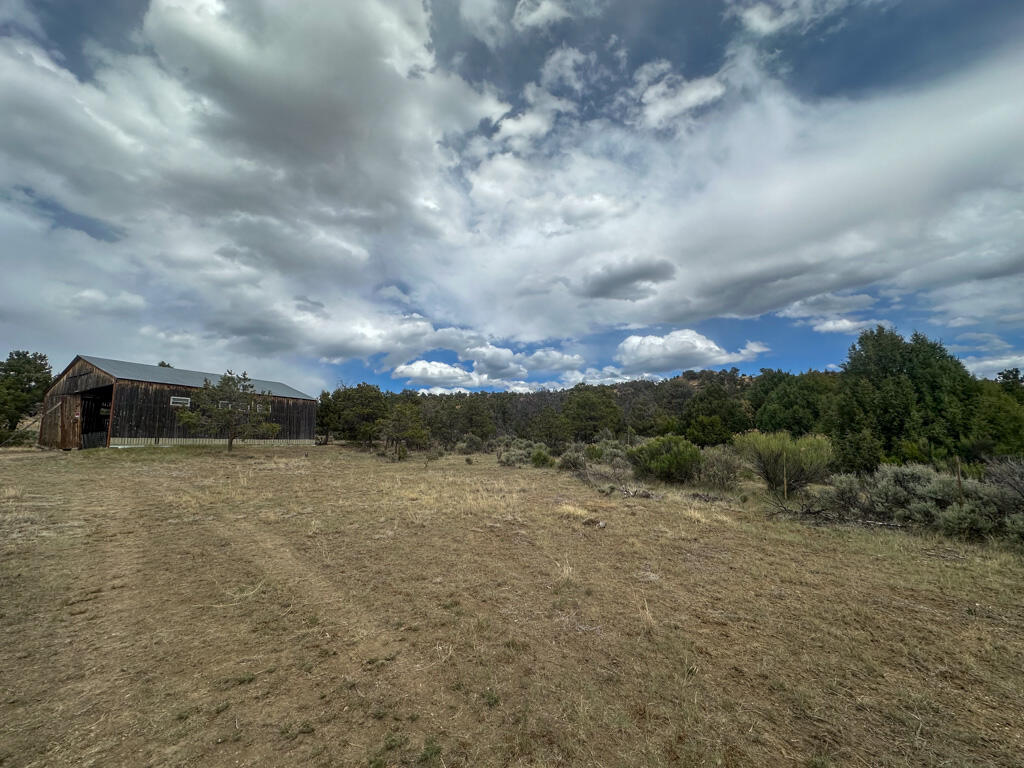 Photo 5 — 15 Jaquez Road