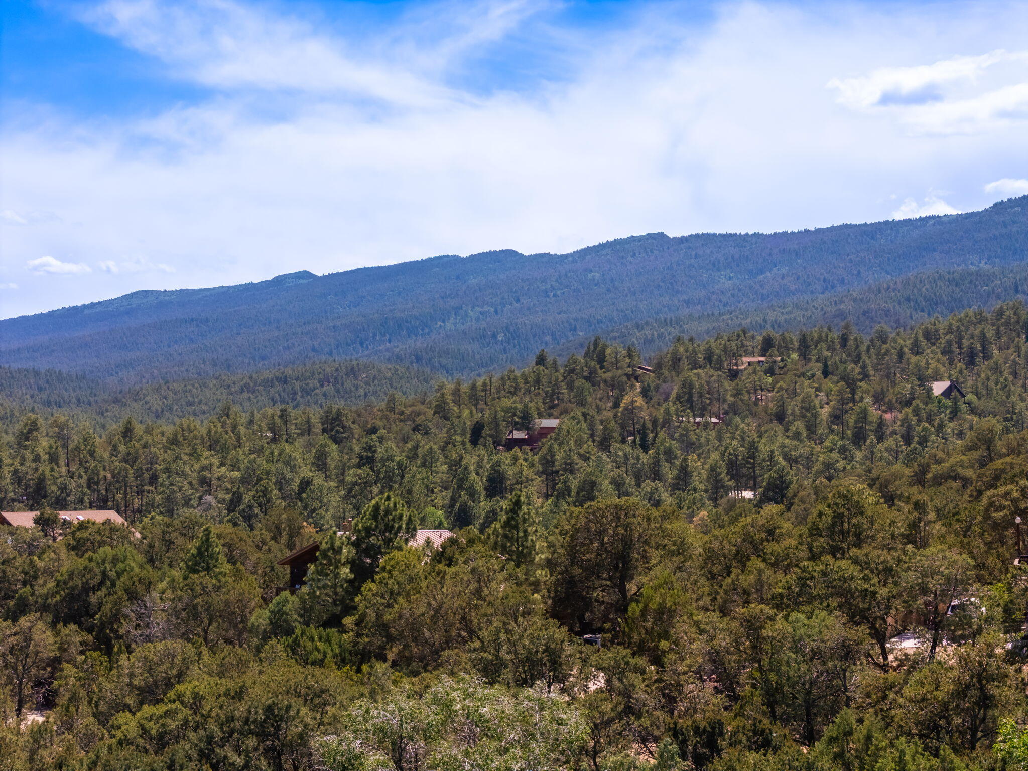 Photo 13 — 36 Sandia Park Lane