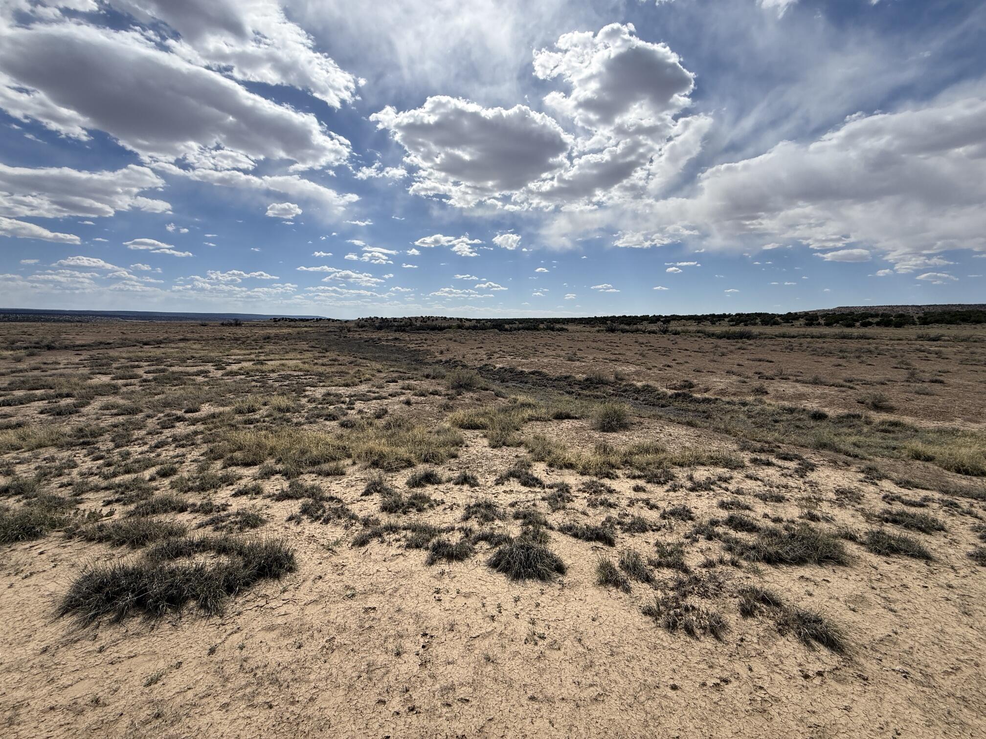 Photo 2 —  AMR PHASE 3 LOT 11