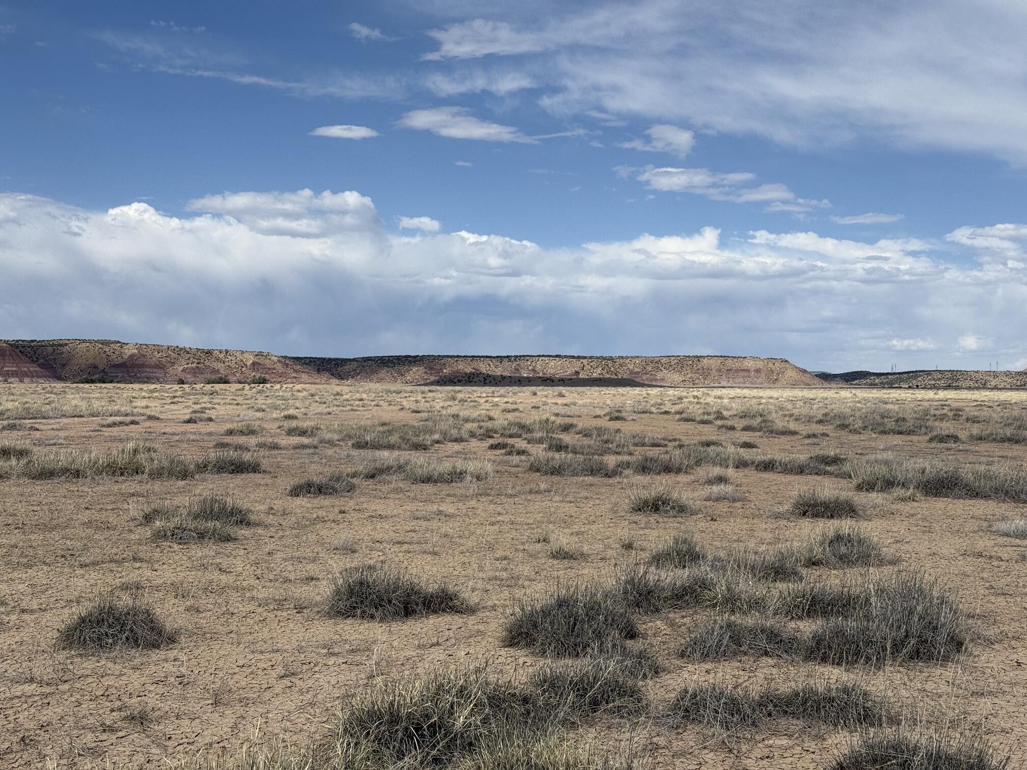 Photo 4 —  AMR PHASE 3 LOT 11