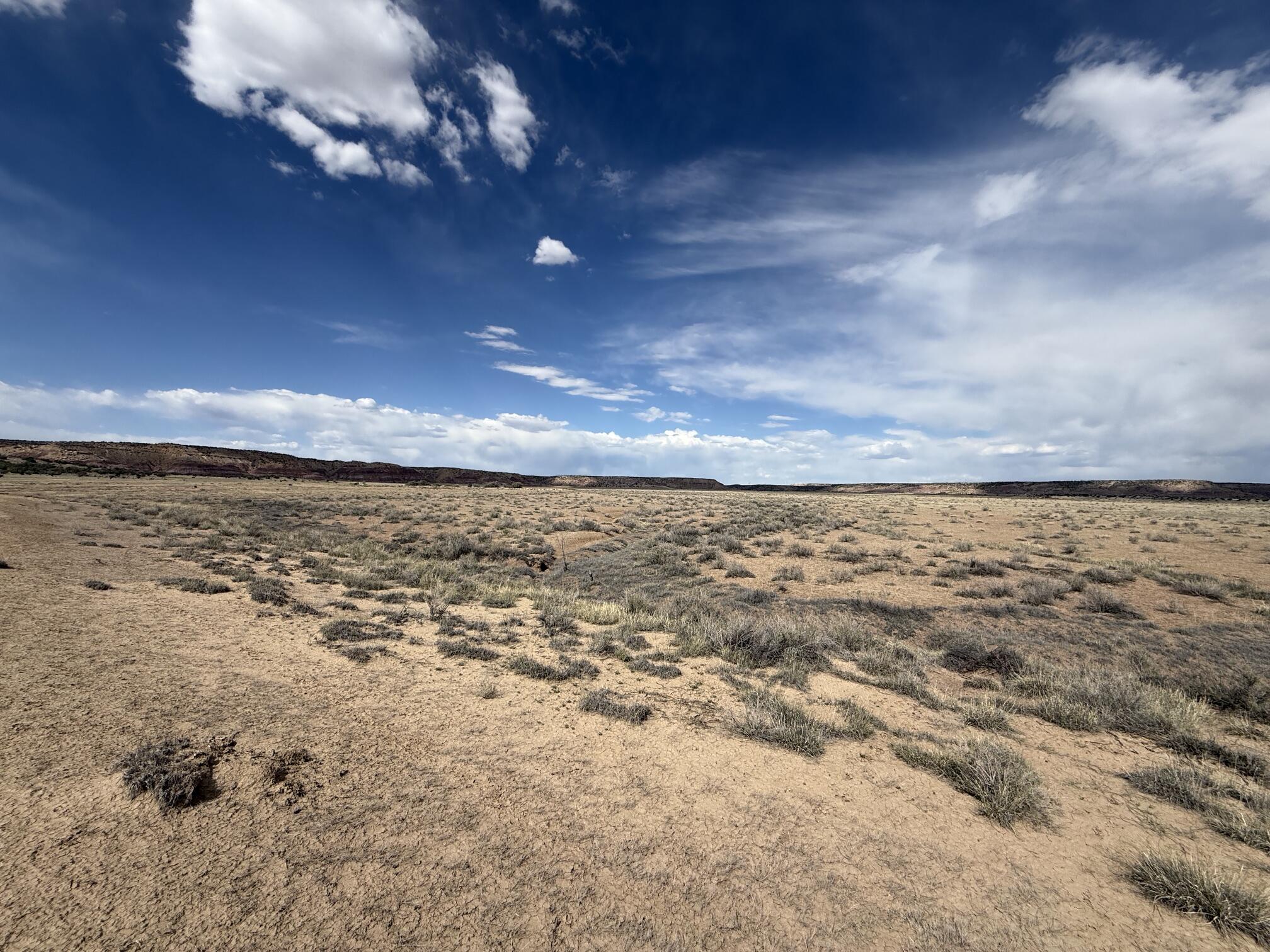 Photo 5 —  AMR PHASE 3 LOT 11