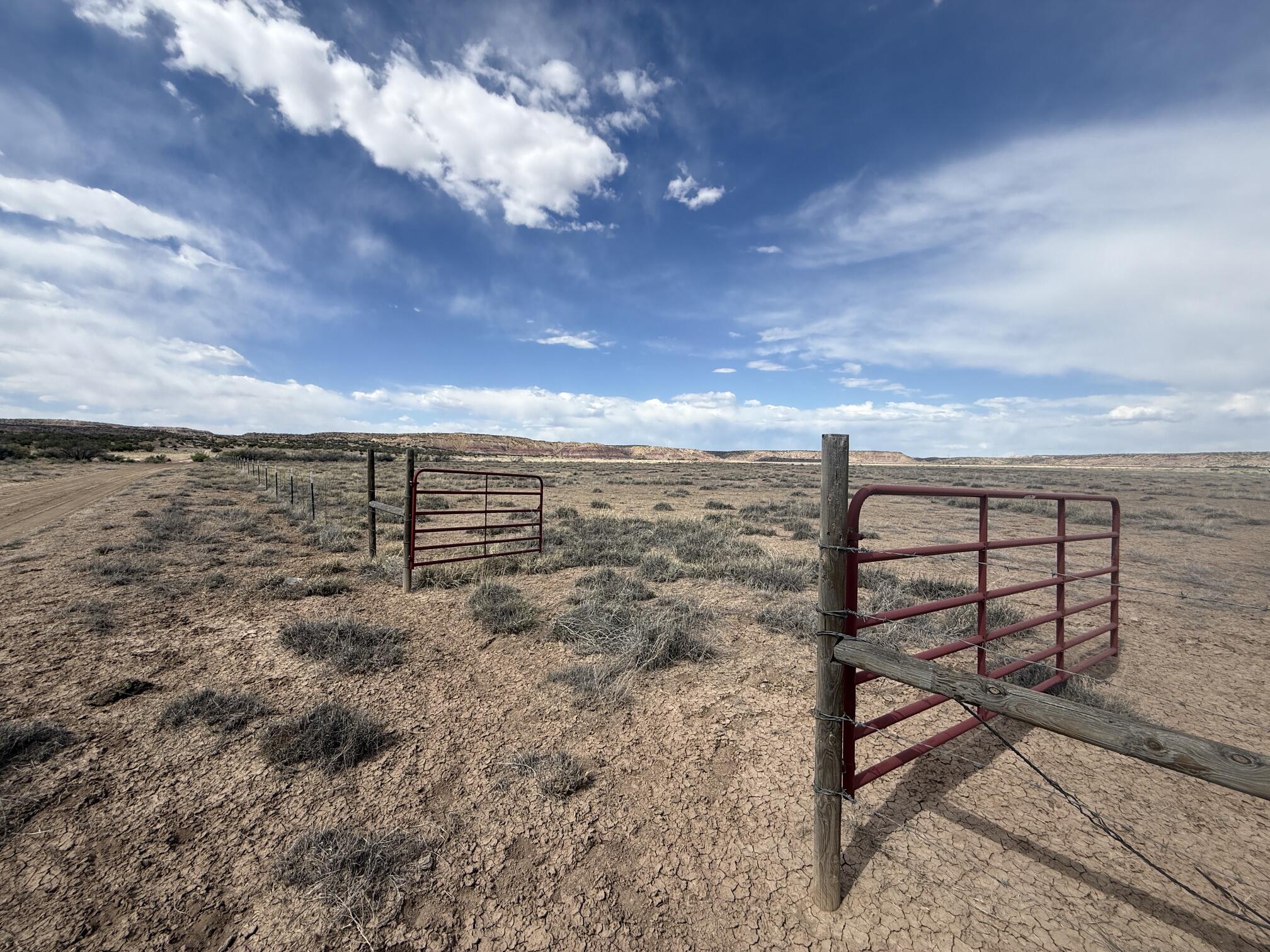 Photo 10 —  AMR PHASE 3 LOT 11