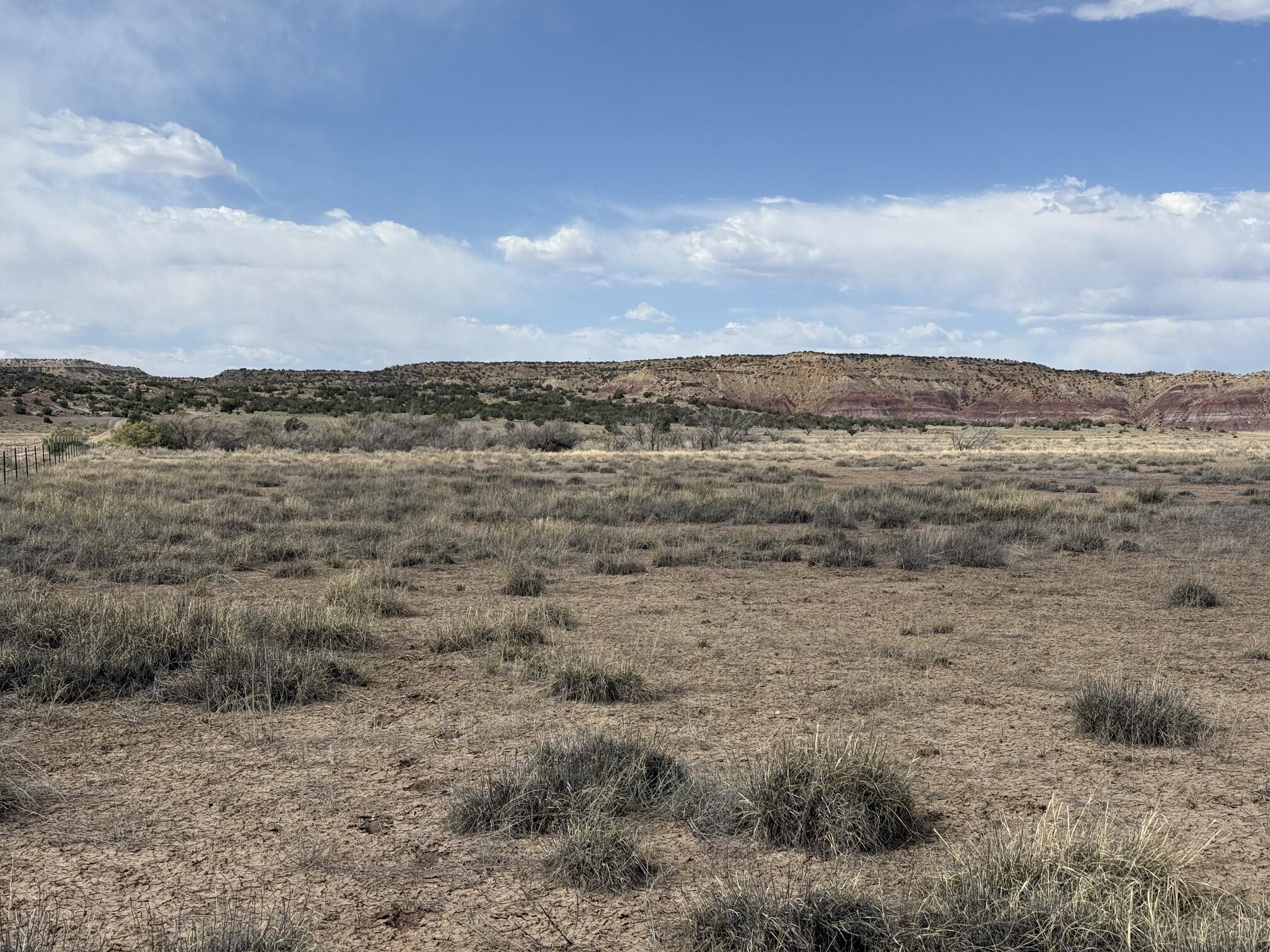 Photo 11 —  AMR PHASE 3 LOT 11