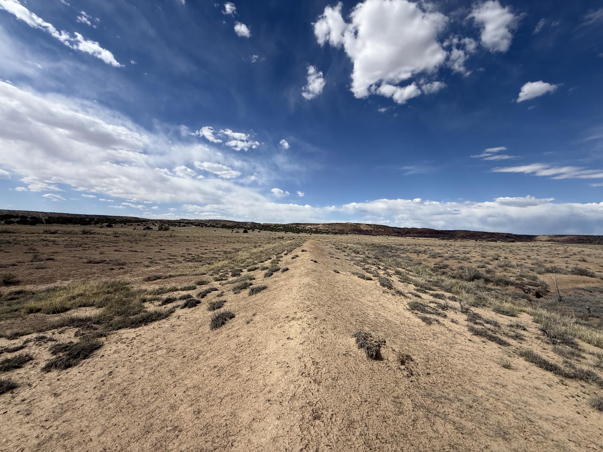 Photo 13 —  AMR PHASE 3 LOT 11