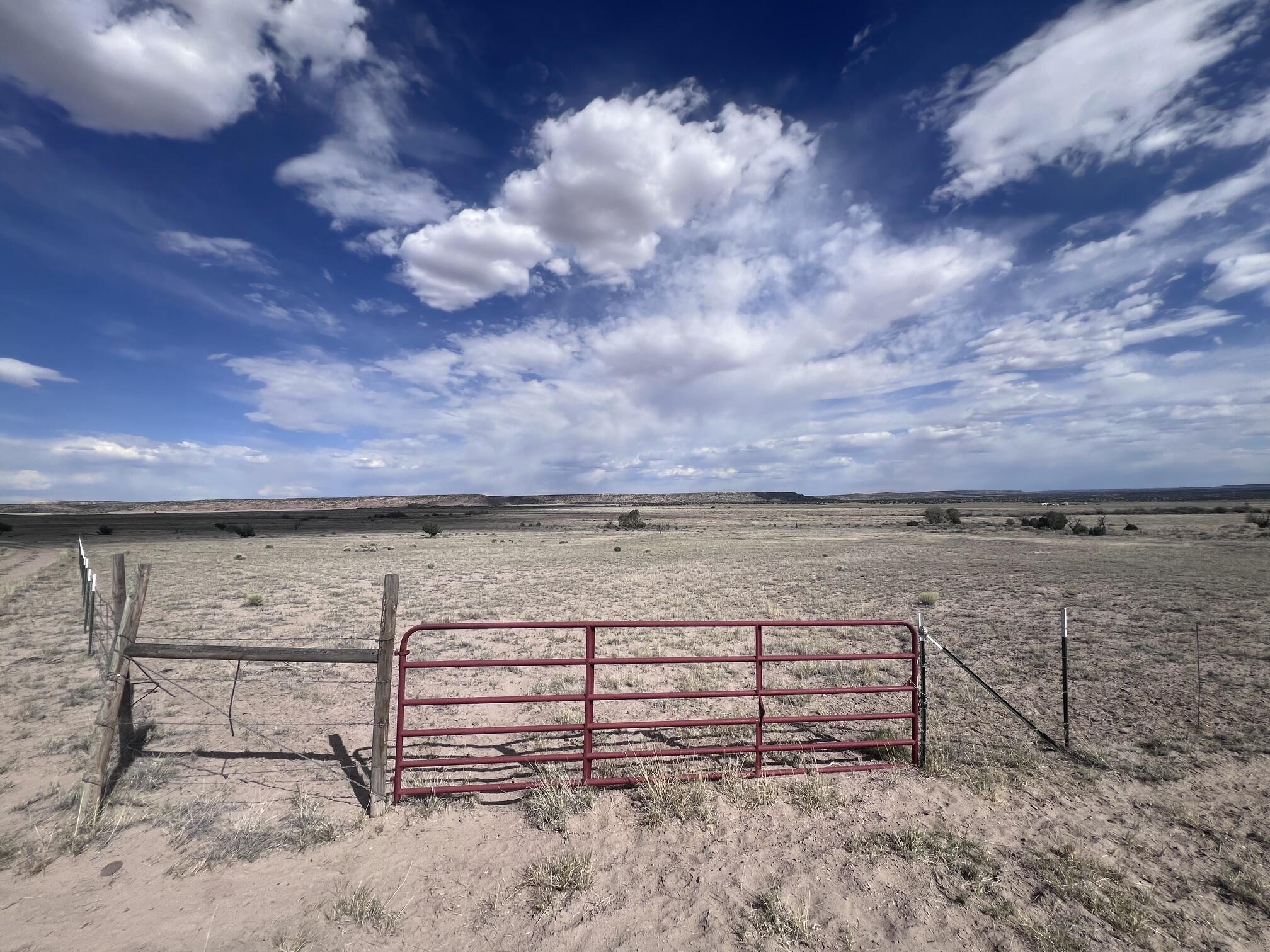 Photo 14 —  AMR PHASE 3 LOT 11