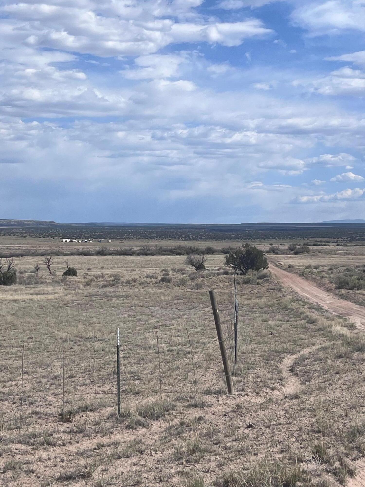 Photo 16 —  AMR PHASE 3 LOT 11