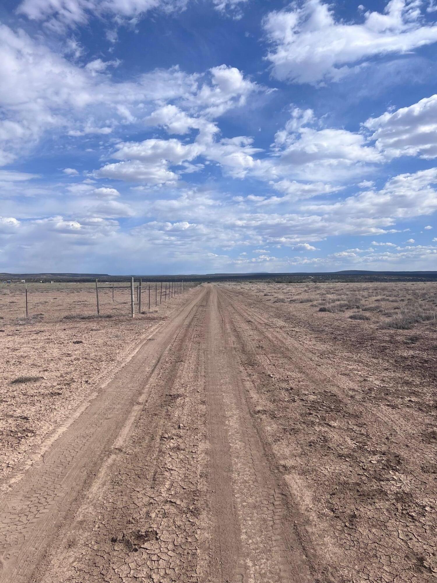 Photo 17 —  AMR PHASE 3 LOT 11