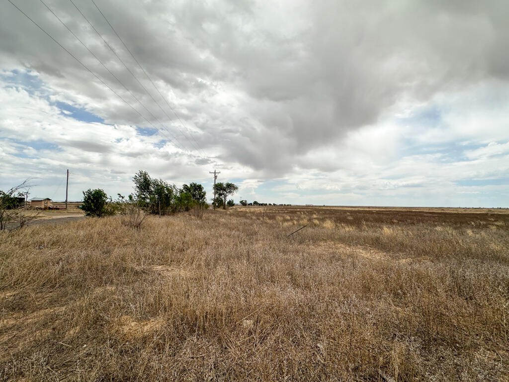 Photo 16 — 47 Ice Plant Road
