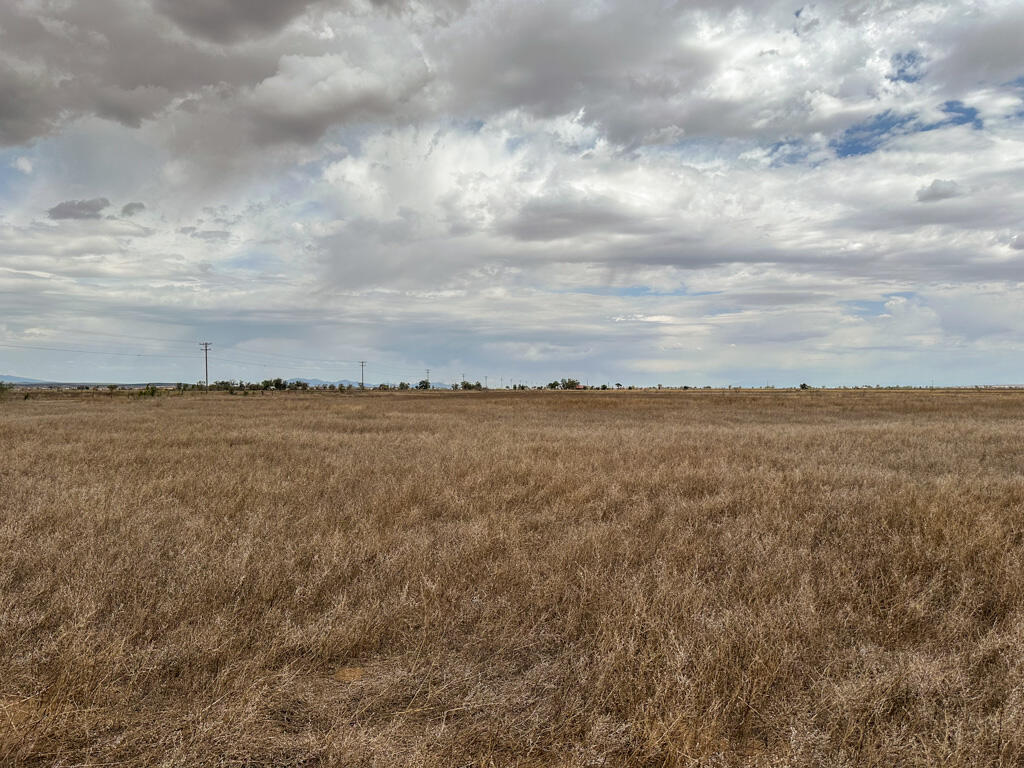 Photo 15 — 47 Ice Plant Road