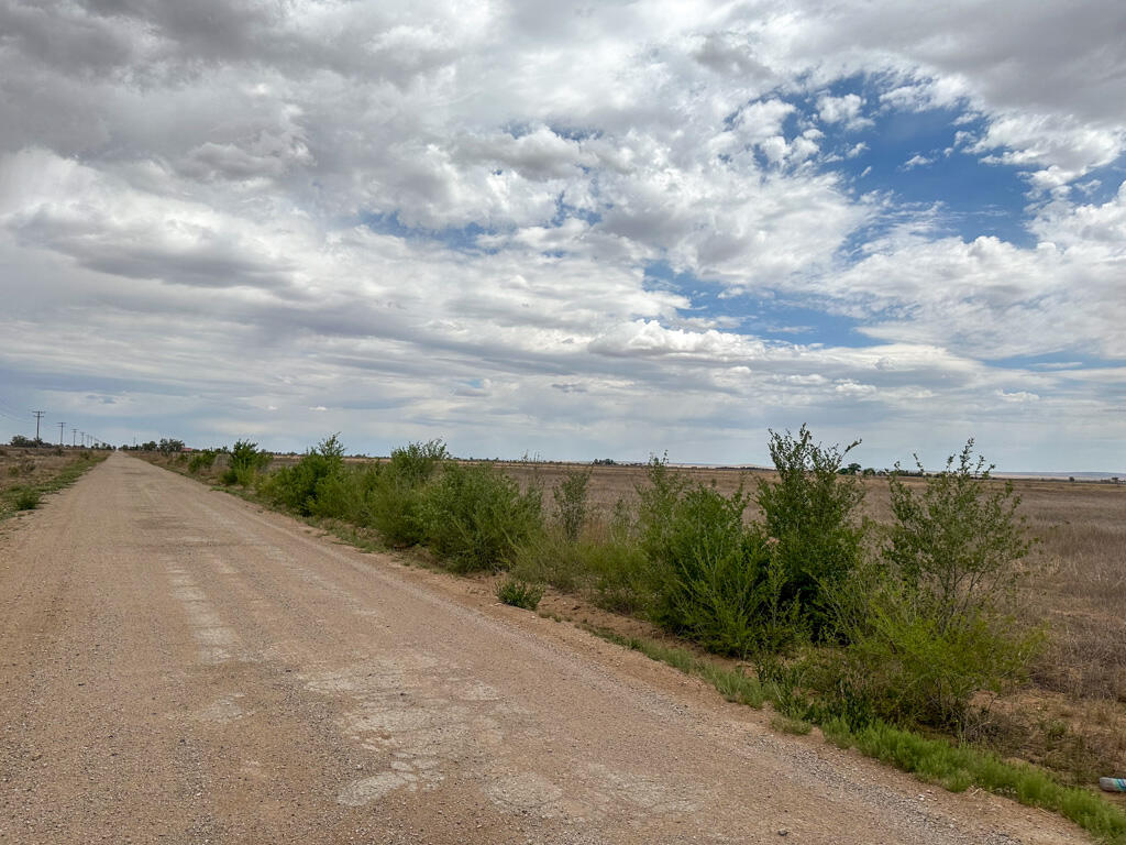 Photo 14 — 47 Ice Plant Road