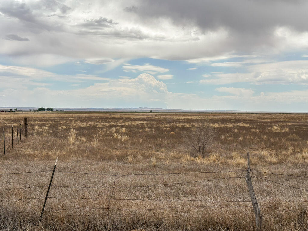 Photo 13 — 47 Ice Plant Road