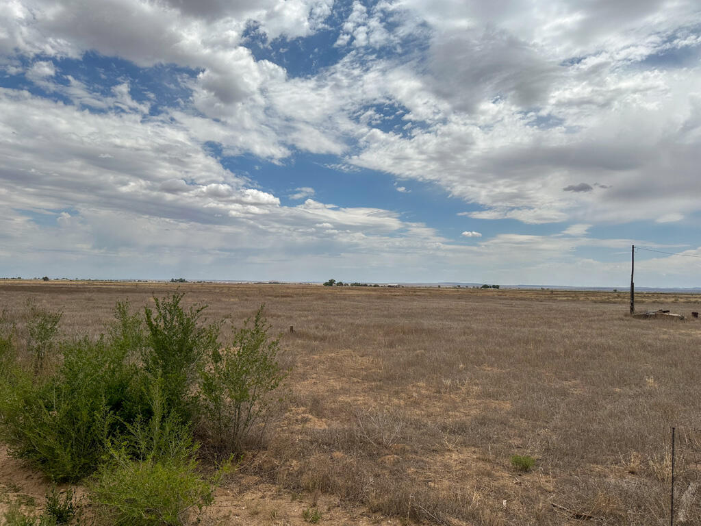 Photo 12 — 47 Ice Plant Road