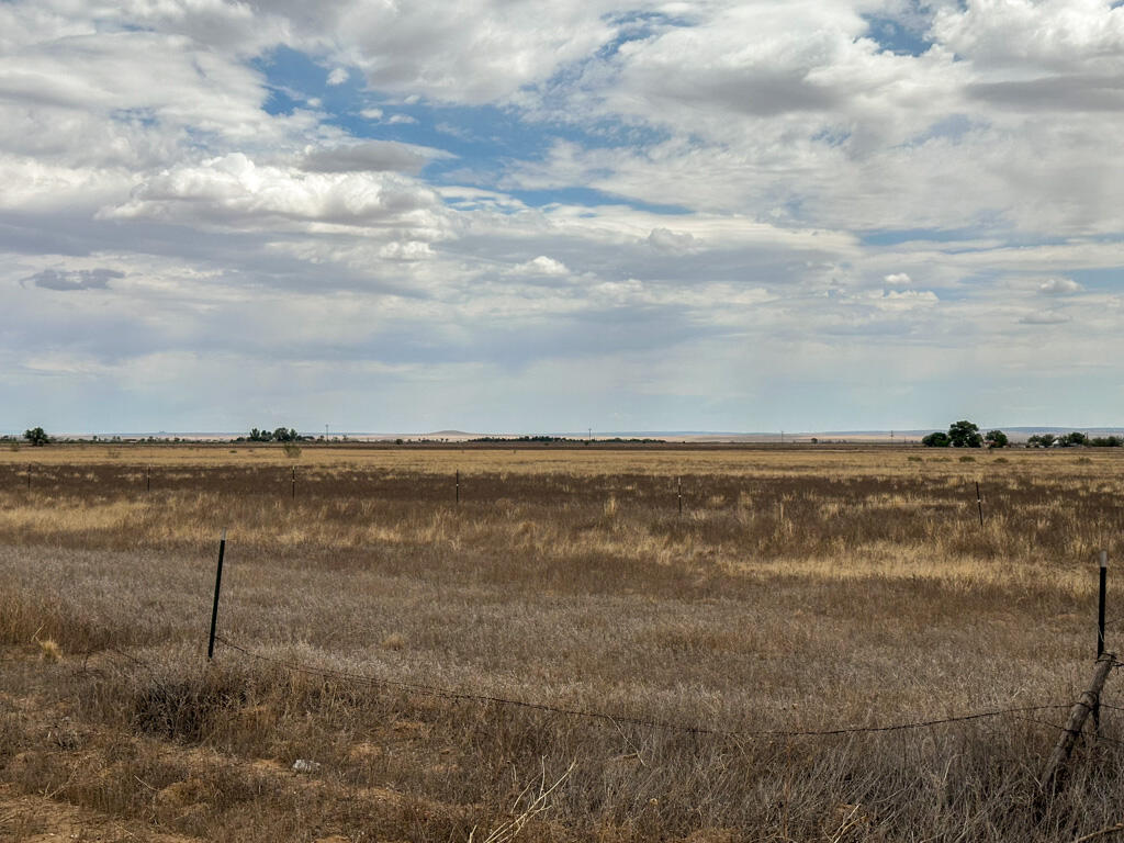 Photo 11 — 47 Ice Plant Road