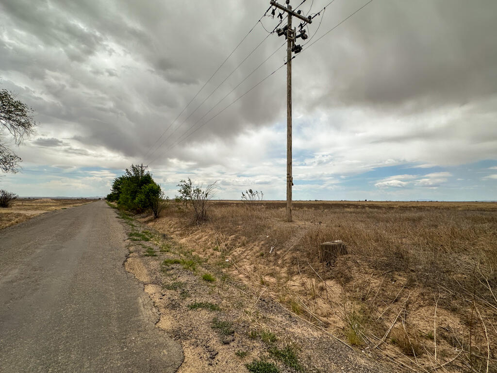 Photo 10 — 47 Ice Plant Road