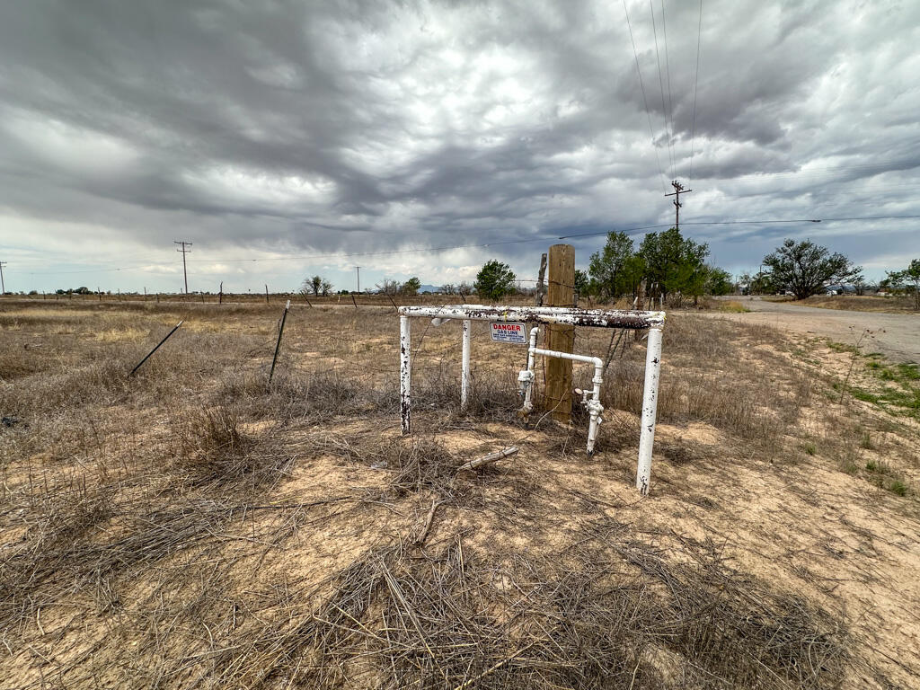 Photo 9 — 47 Ice Plant Road