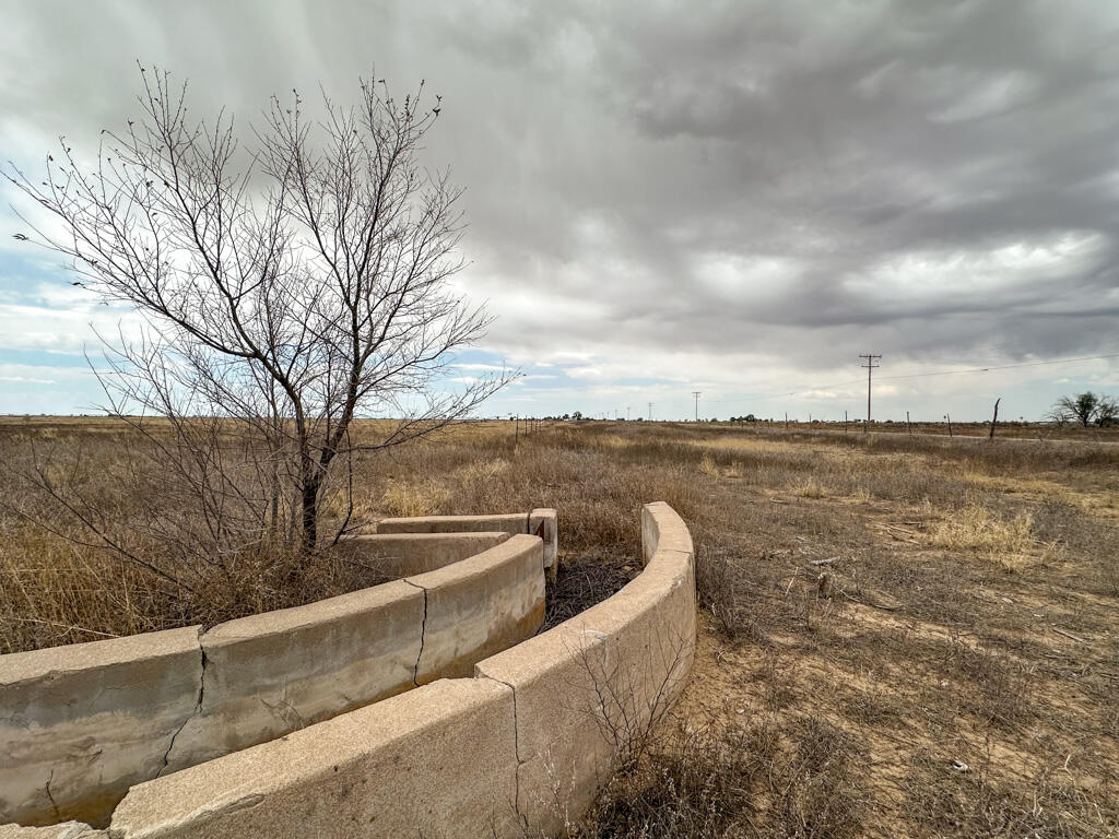 Photo 7 — 47 Ice Plant Road