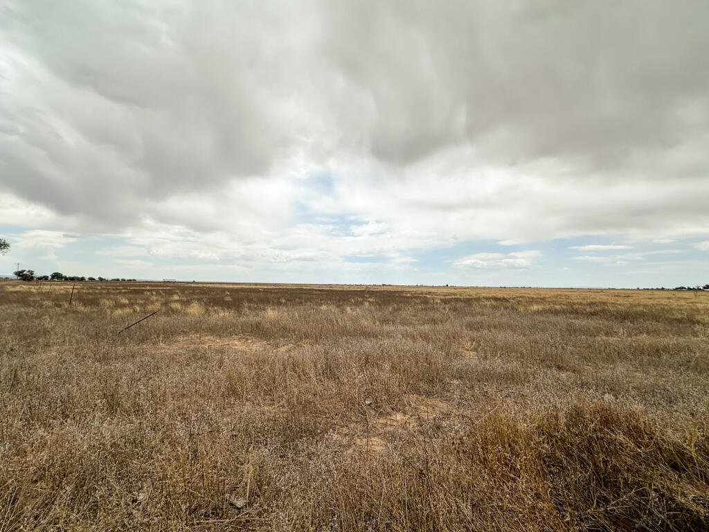 Photo 5 — 47 Ice Plant Road