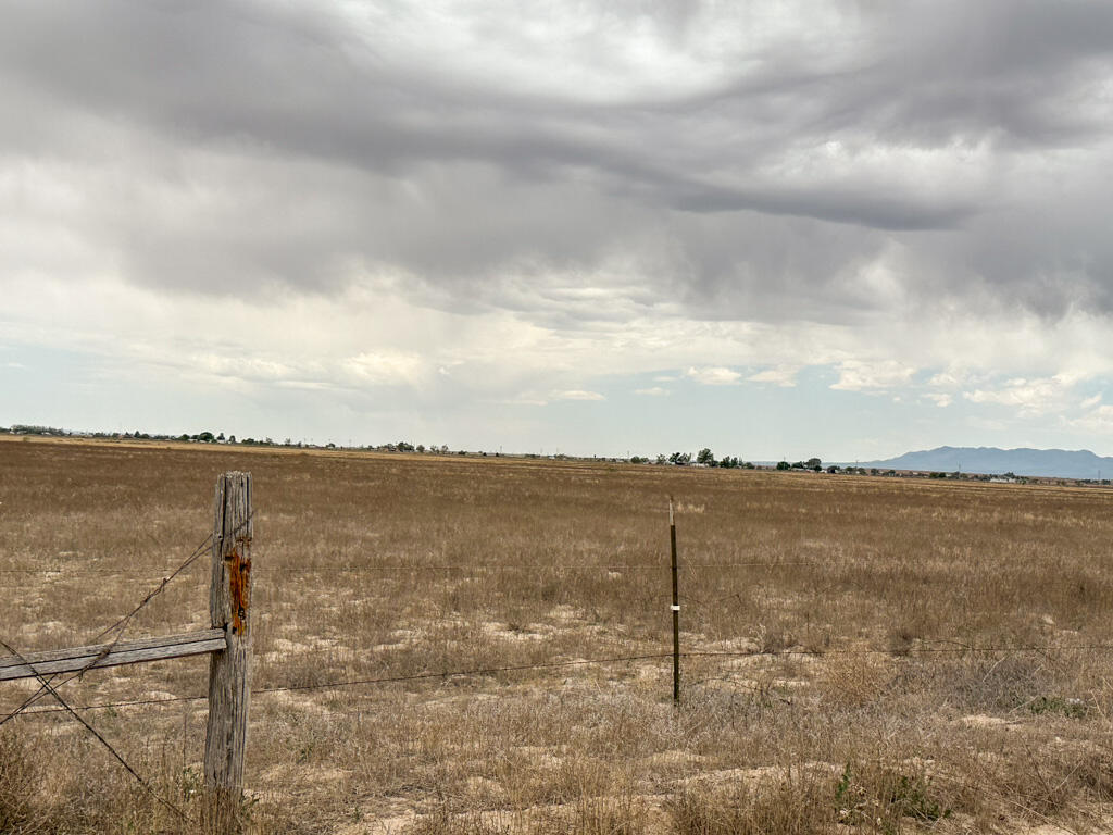 Photo 3 — 47 Ice Plant Road