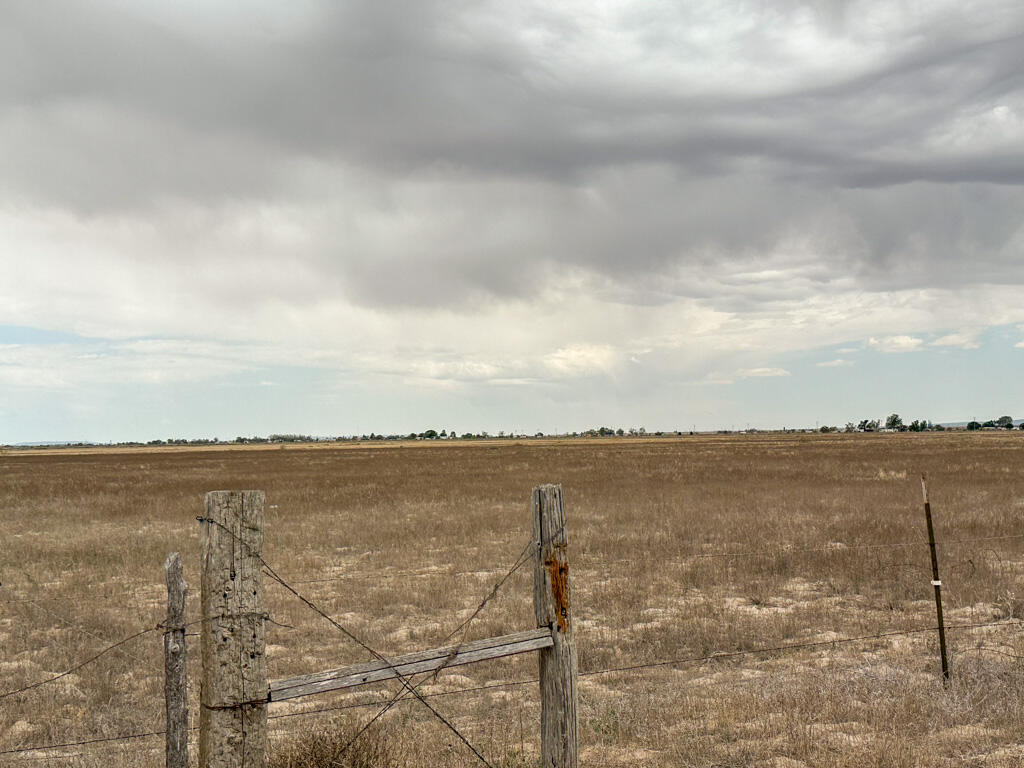 Photo 2 — 47 Ice Plant Road