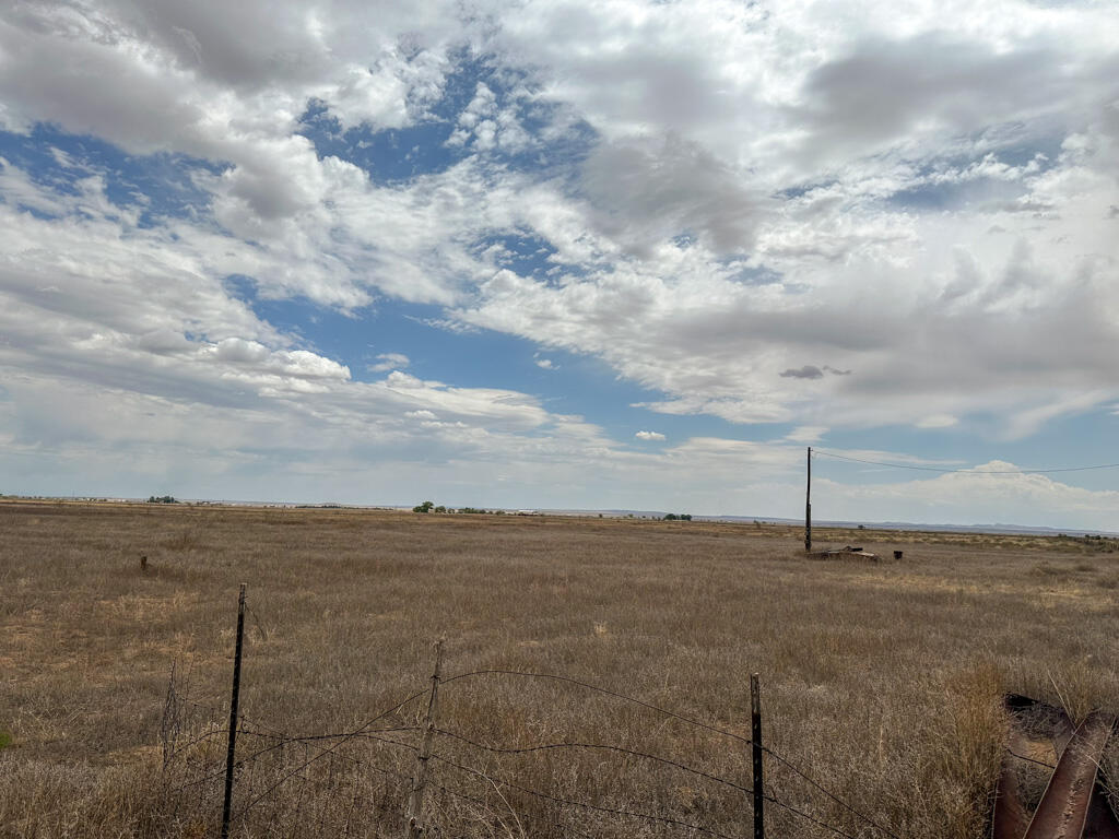 Photo 20 — 47 Ice Plant Road