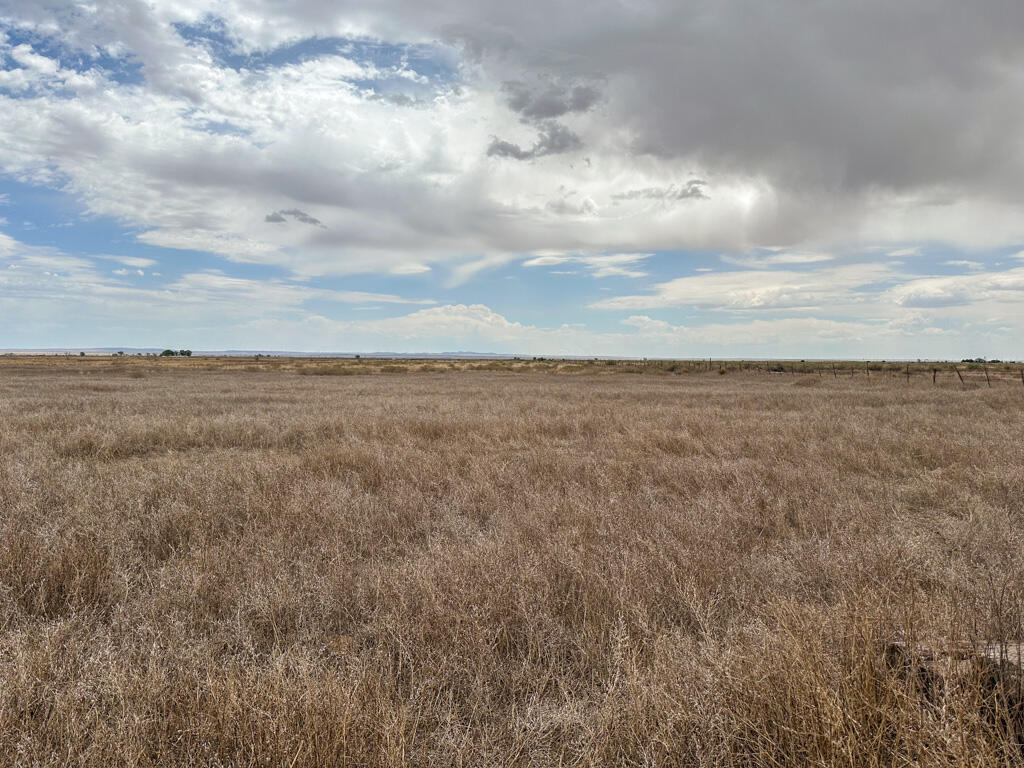 Photo 19 — 47 Ice Plant Road