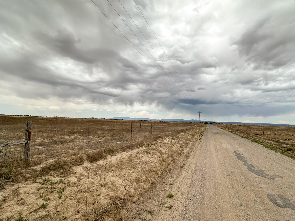 Photo 18 — 47 Ice Plant Road