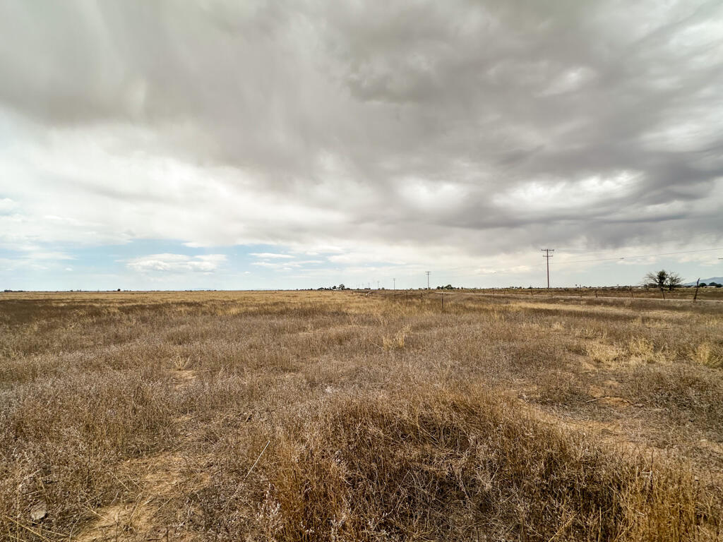 Photo 17 — 47 Ice Plant Road