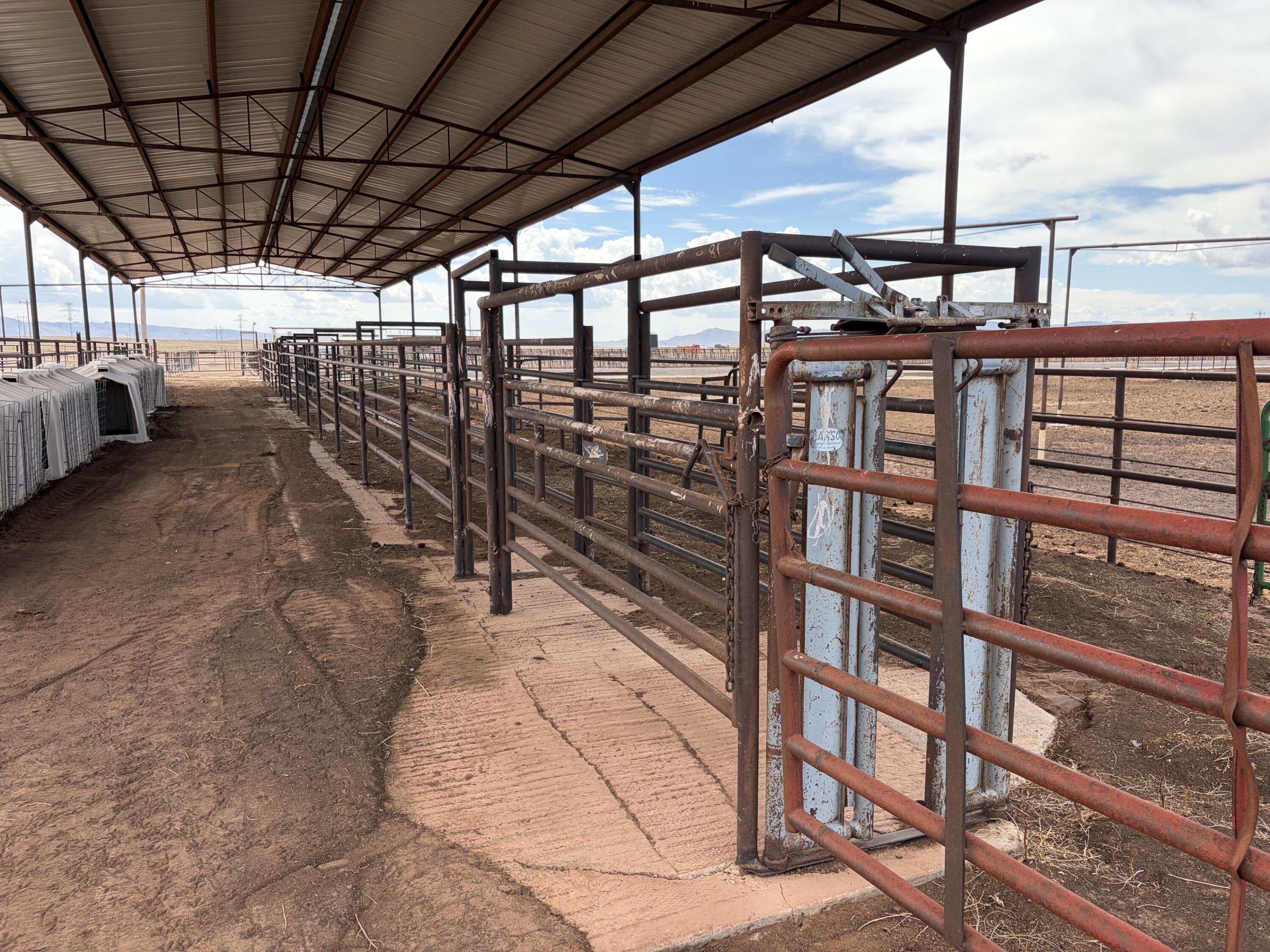 Photo 12 — 25 Miller Dairy Road