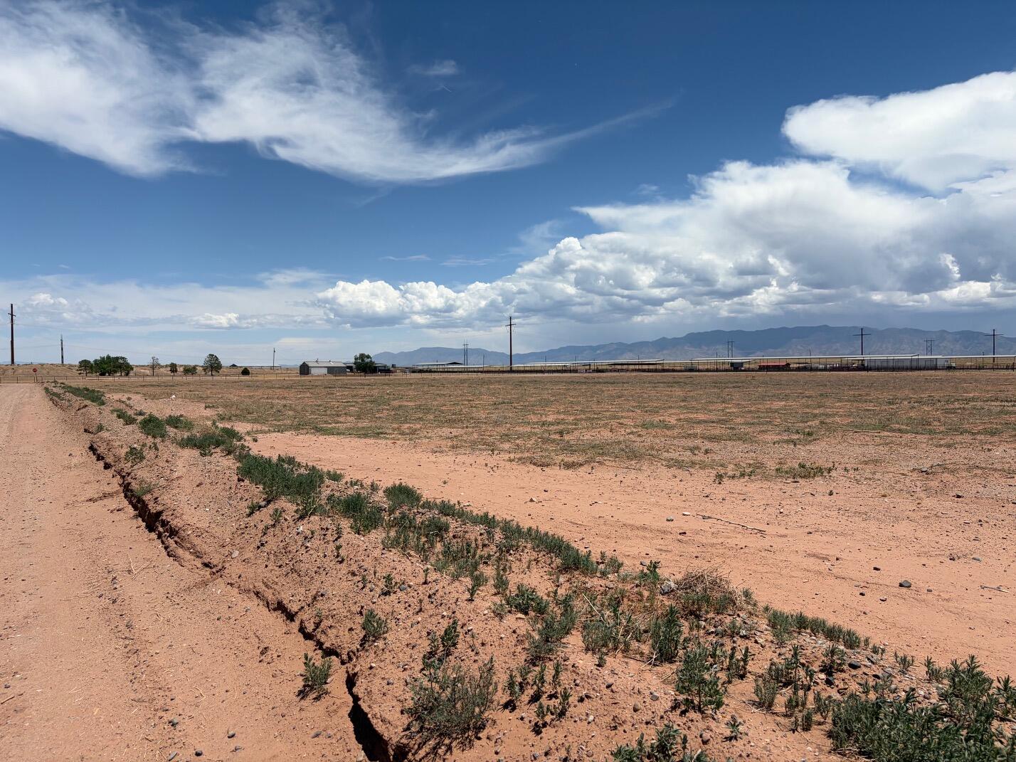 Photo 4 — 25 Miller Dairy Road