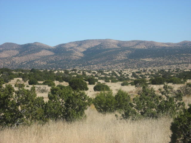 Lot 188 Pinon Springs Ranches