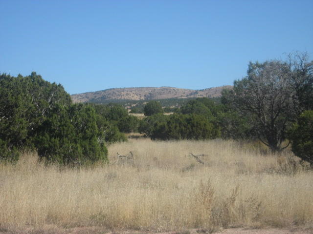 Photo 3 — Lot 188 Pinon Springs Ranches